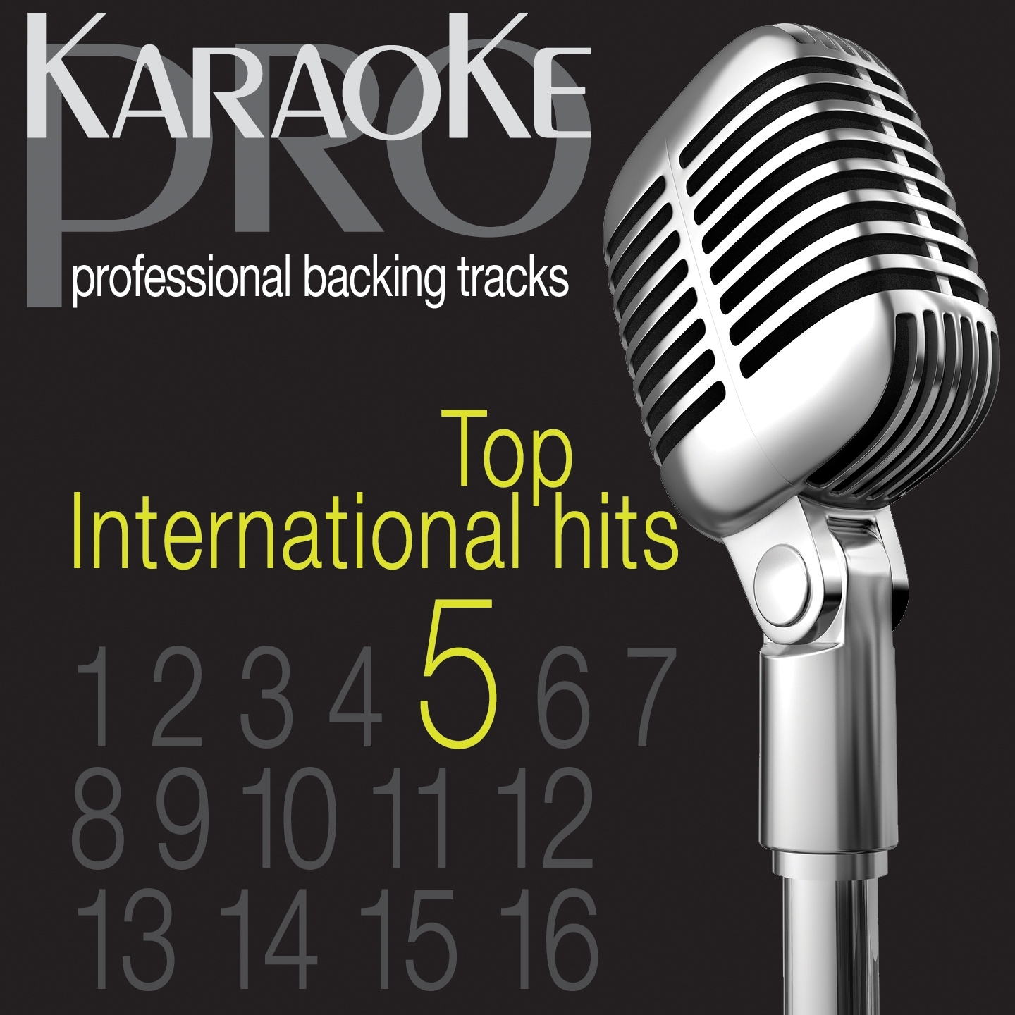 Top International Karaoke Hits, Vol. 5