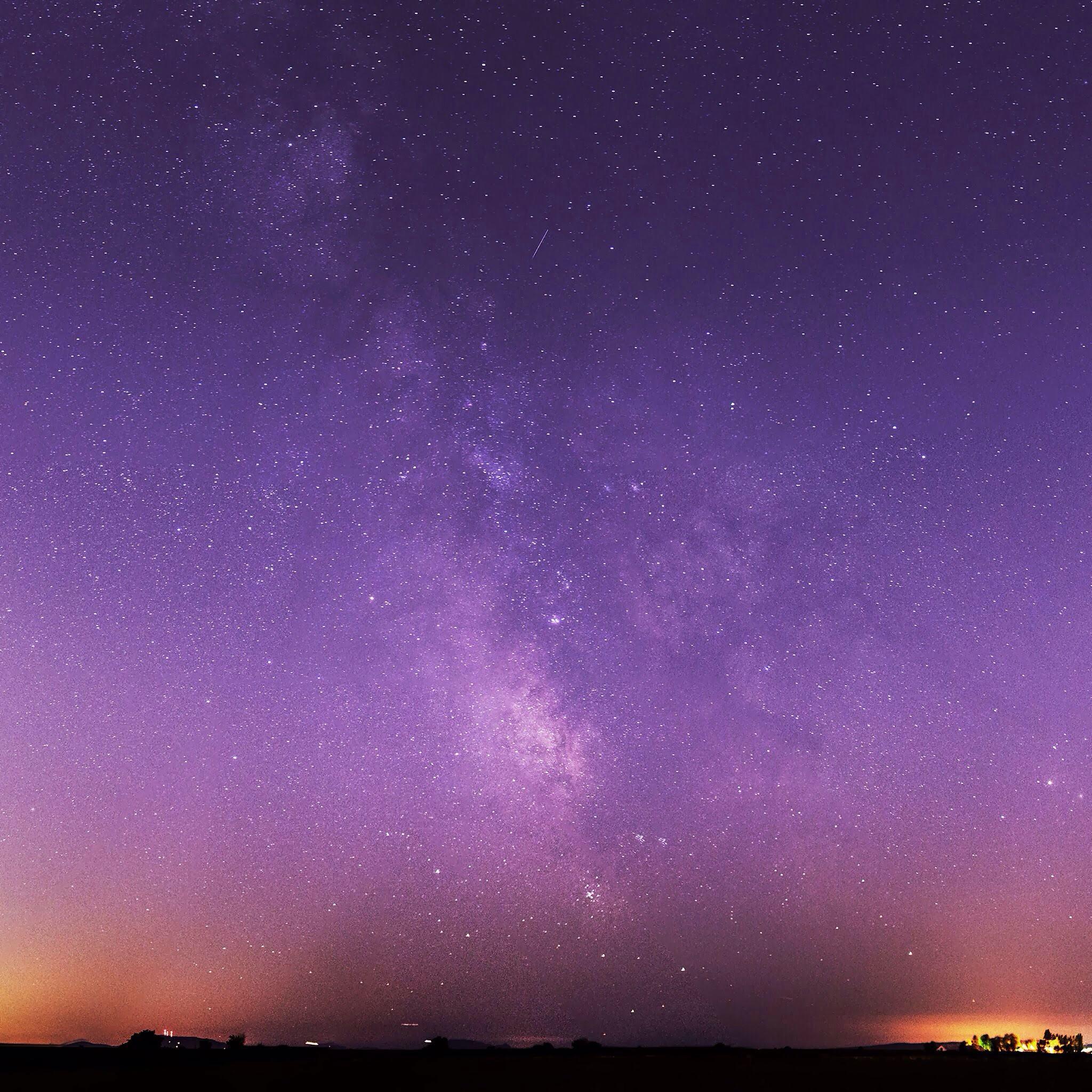 仲夏夜之梦