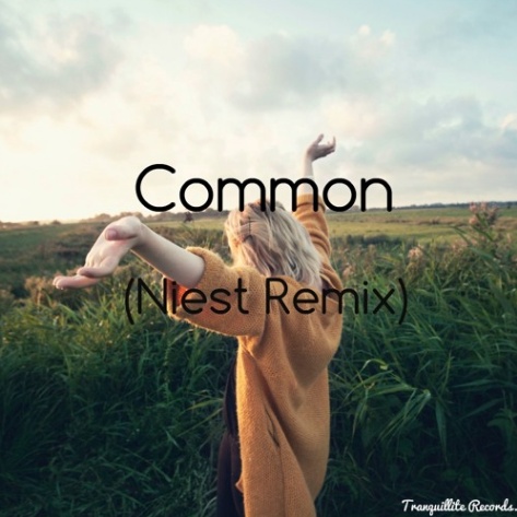 Common (Niest Remix)