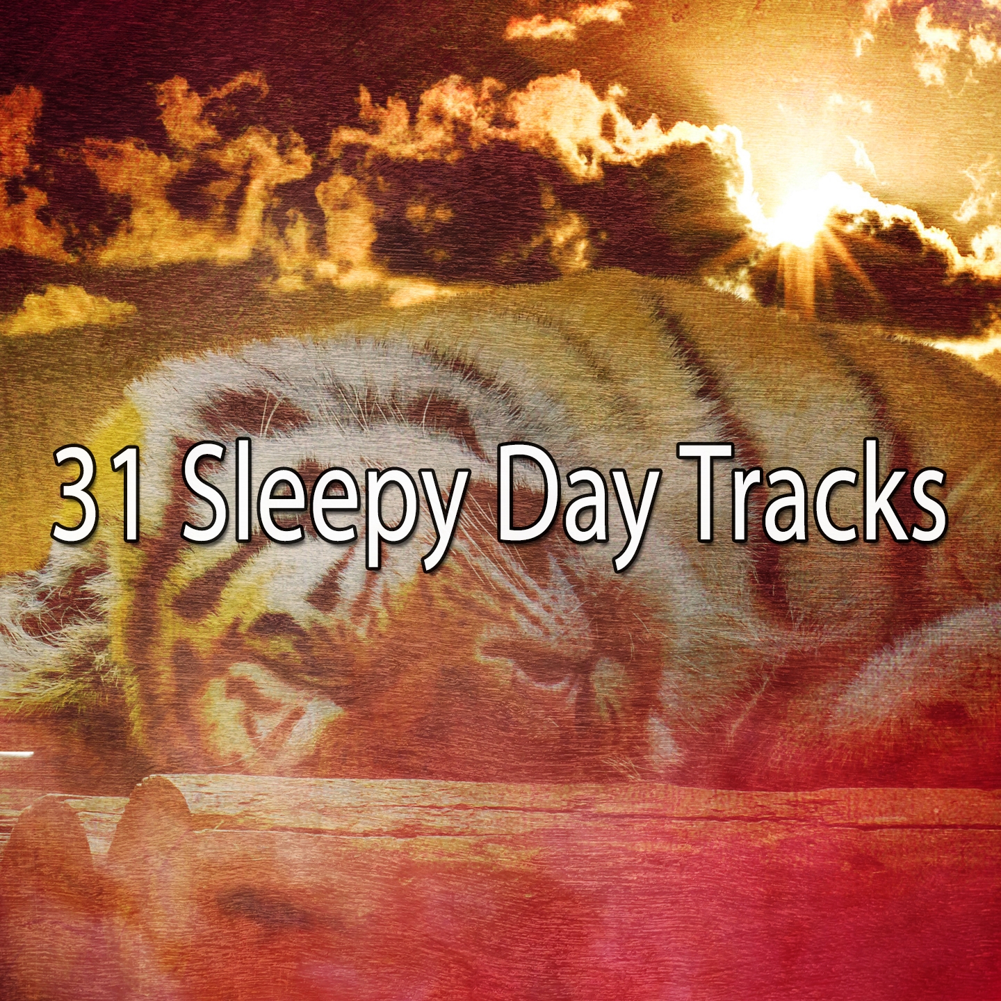 31 Sleepy Day Tracks