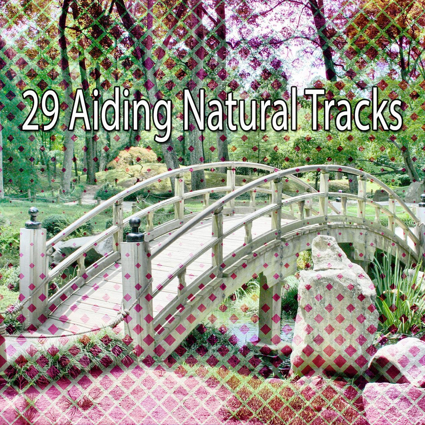 29 Aiding Natural Tracks