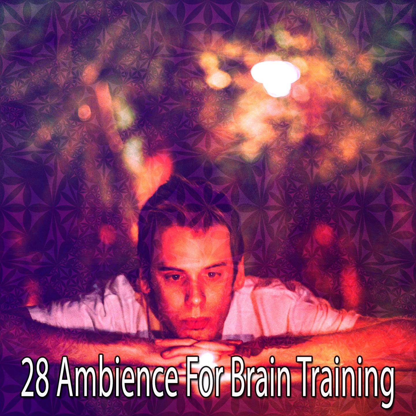 28 Ambience For Brain Training