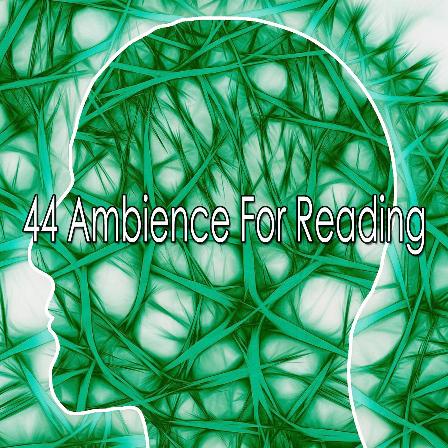 44 Ambience For Reading
