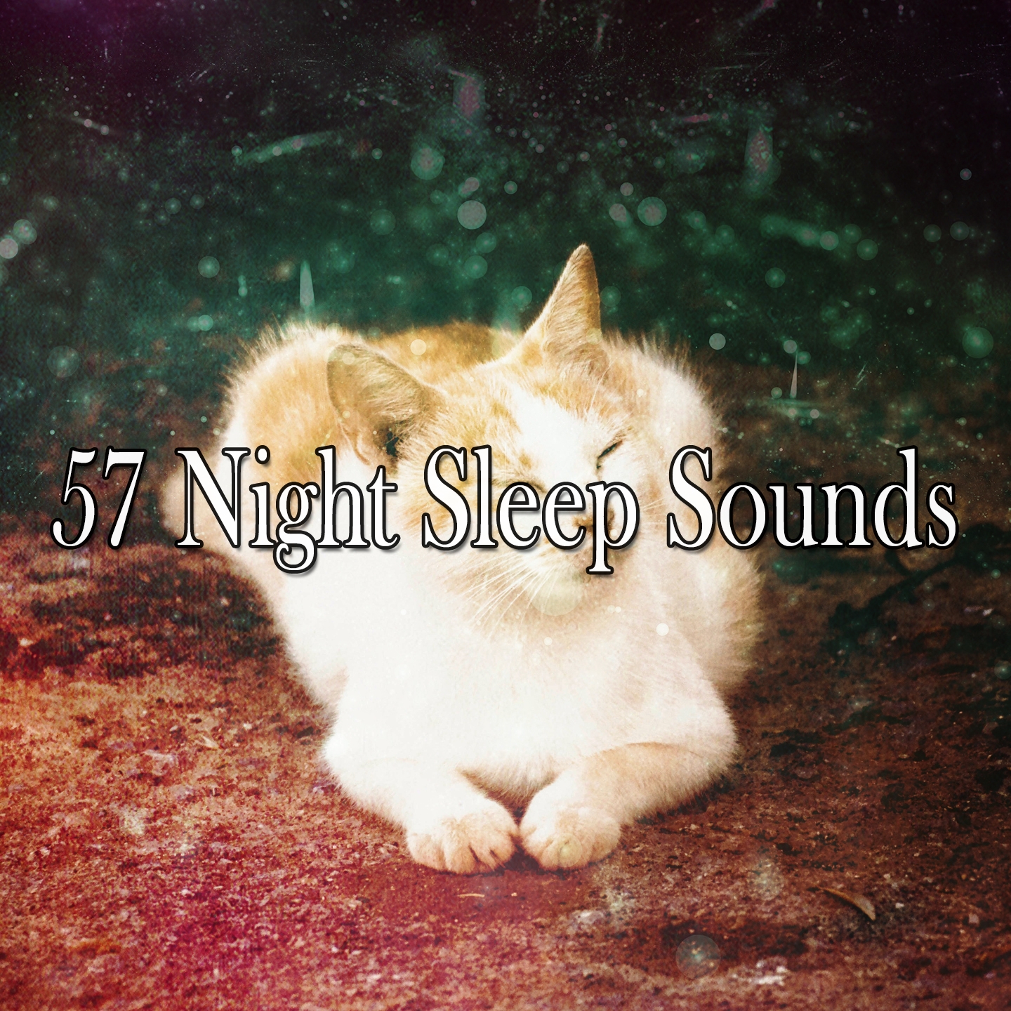 57 Night Sleep Sounds