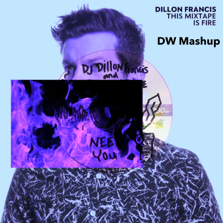 Dillon Francis / NGHTMRE - Need You & Bruk Bruk(I Need Your Lovin)(DW Mashup)