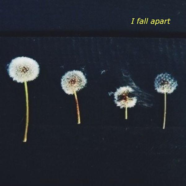 I Fall Apart