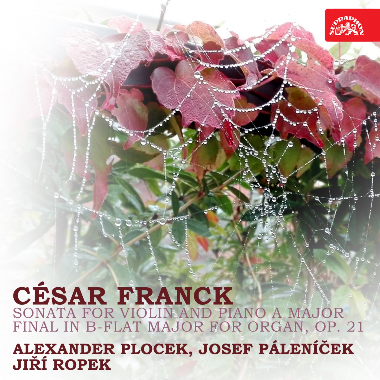 Franck: Sonata for Violin and Piano A Major, Final in B Flat Major for Organ, Op. 21