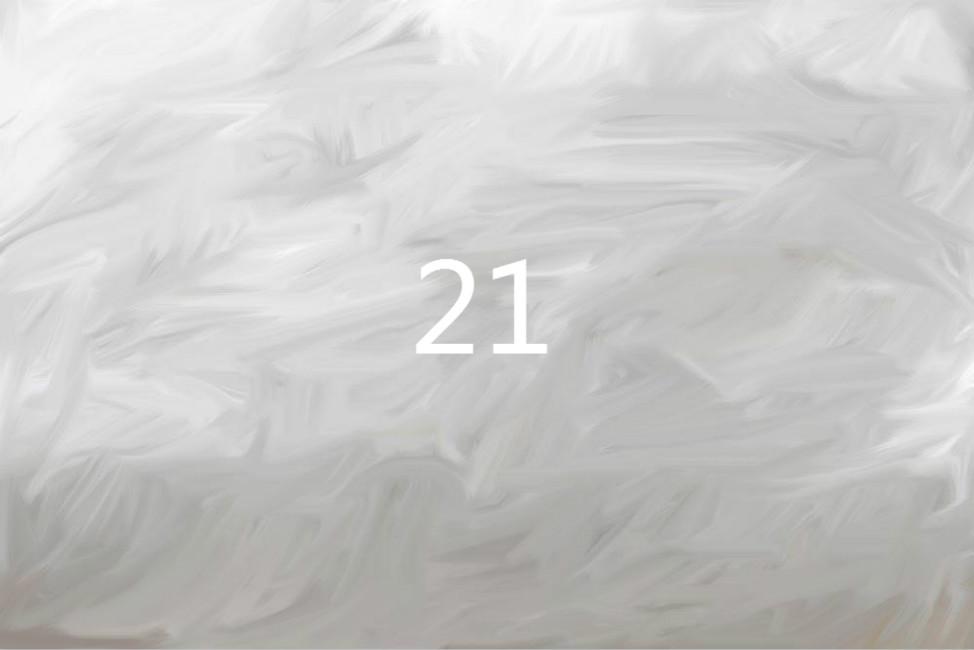 21