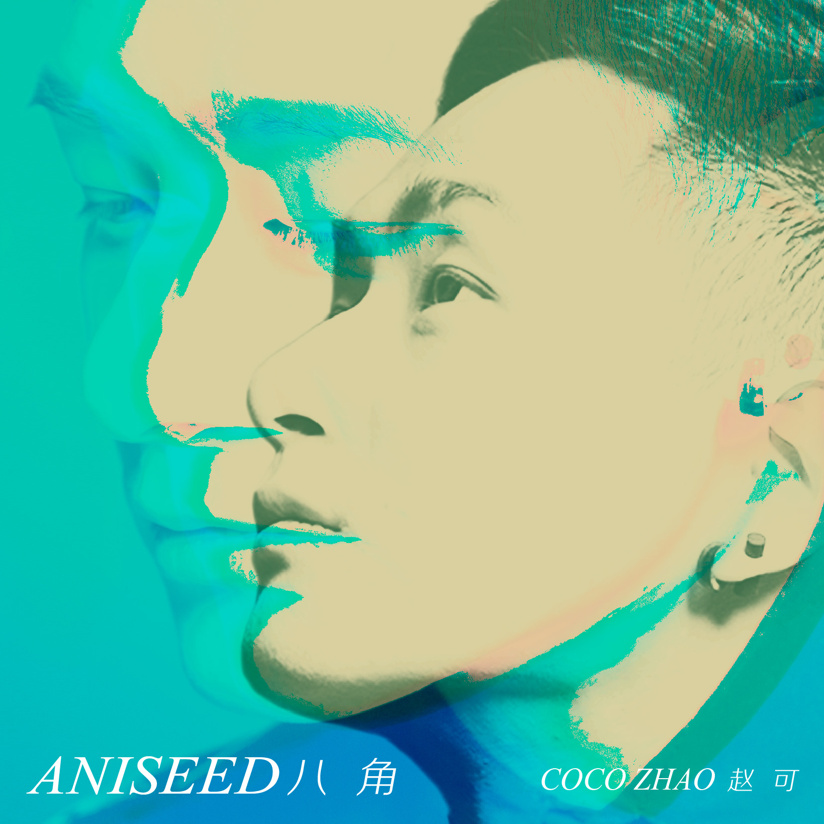 八角 Aniseed