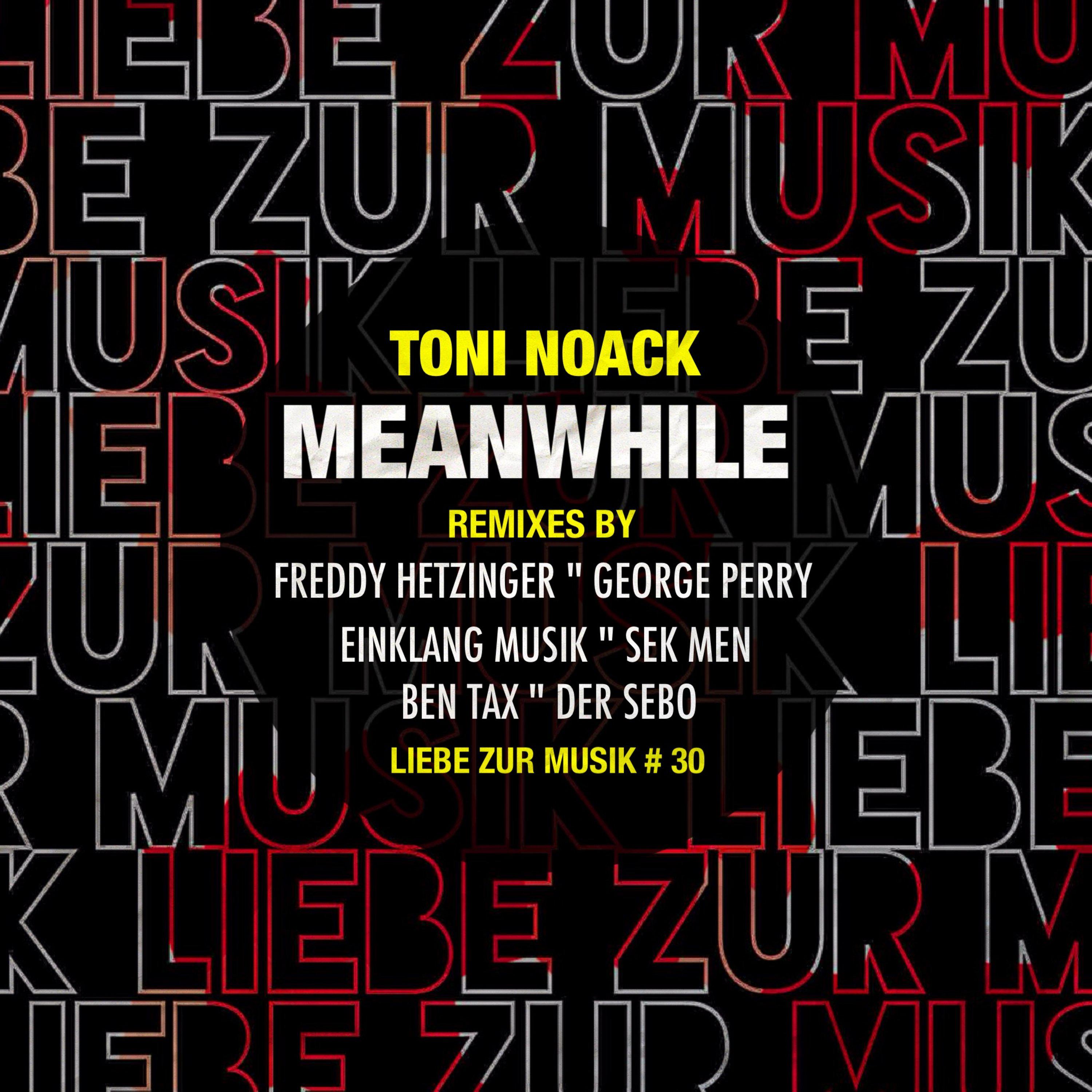 Meanwhile (Einklang Musik Remix)