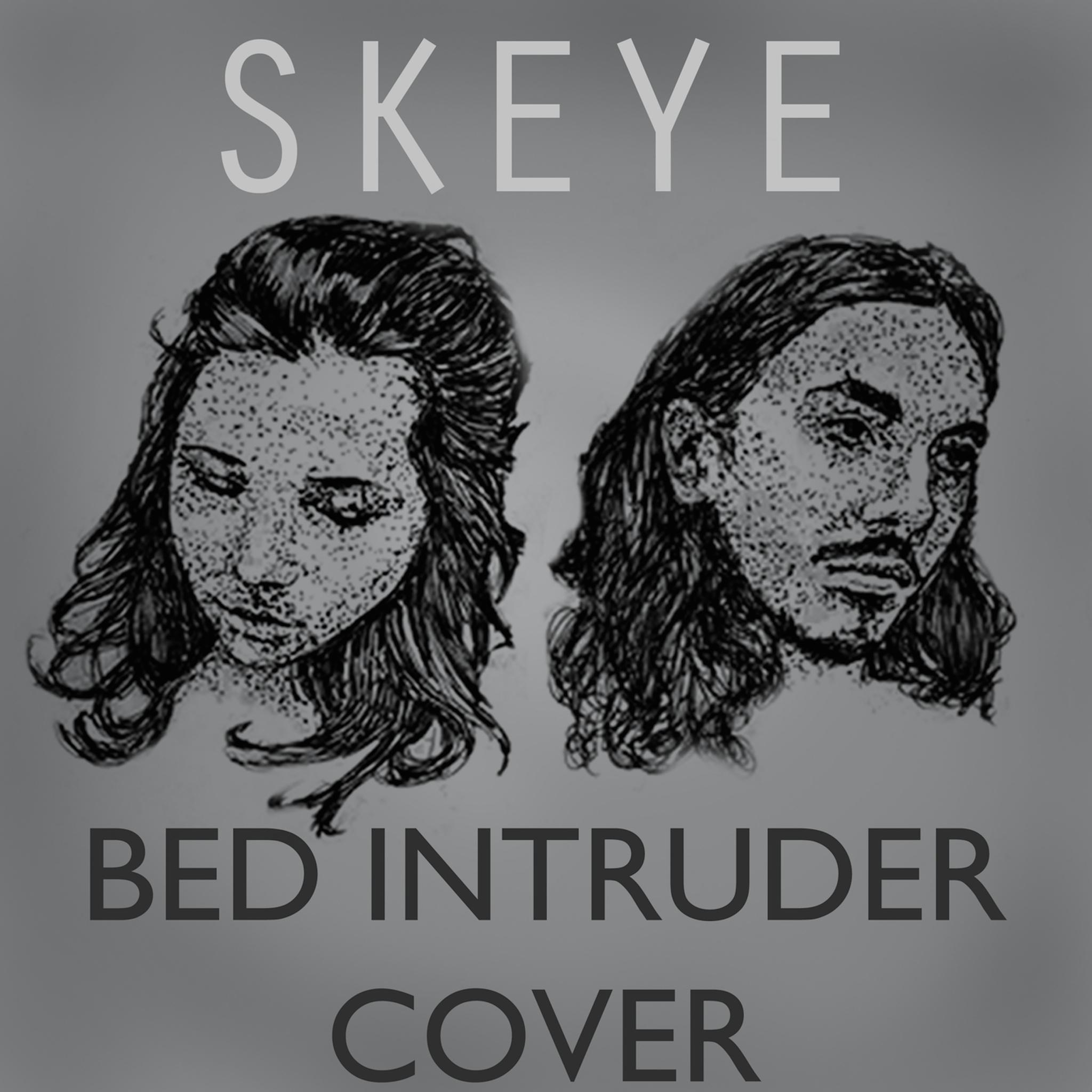 Bed Intruder Song (Skeye Version)