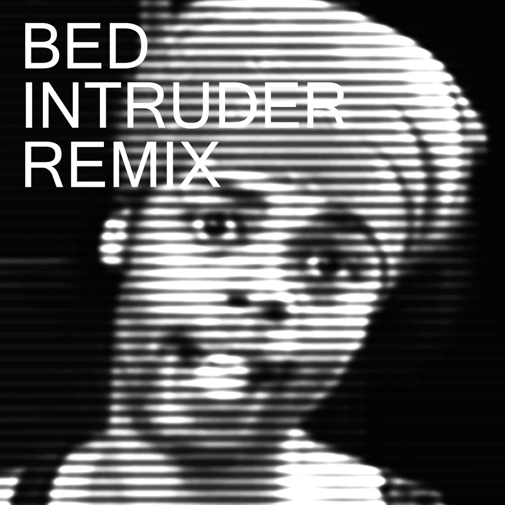 Bed Intruder Song (Pete Proto Remix)