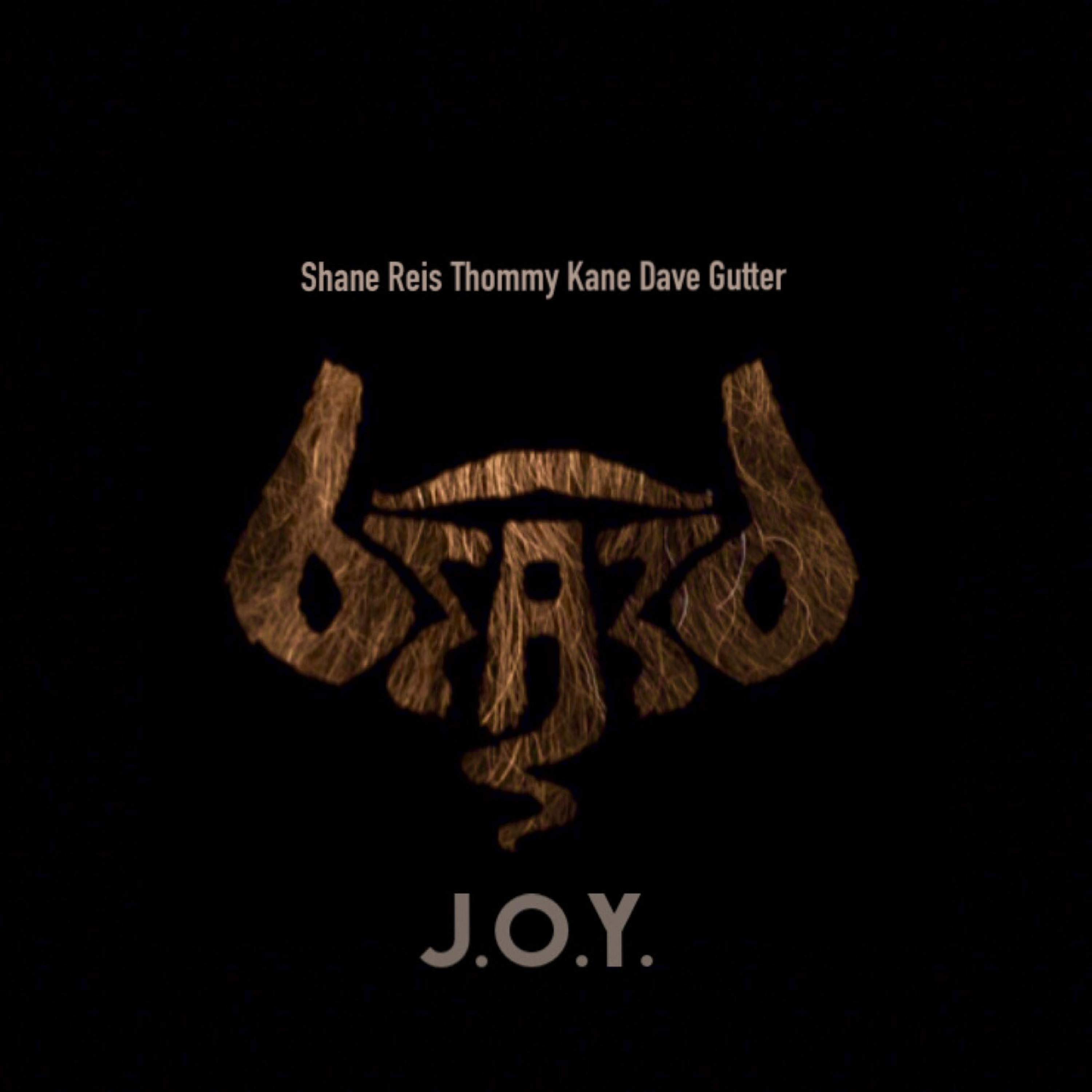 J.O.Y. (feat. Dave Gutter, Thommy Kane & Shane Reis)