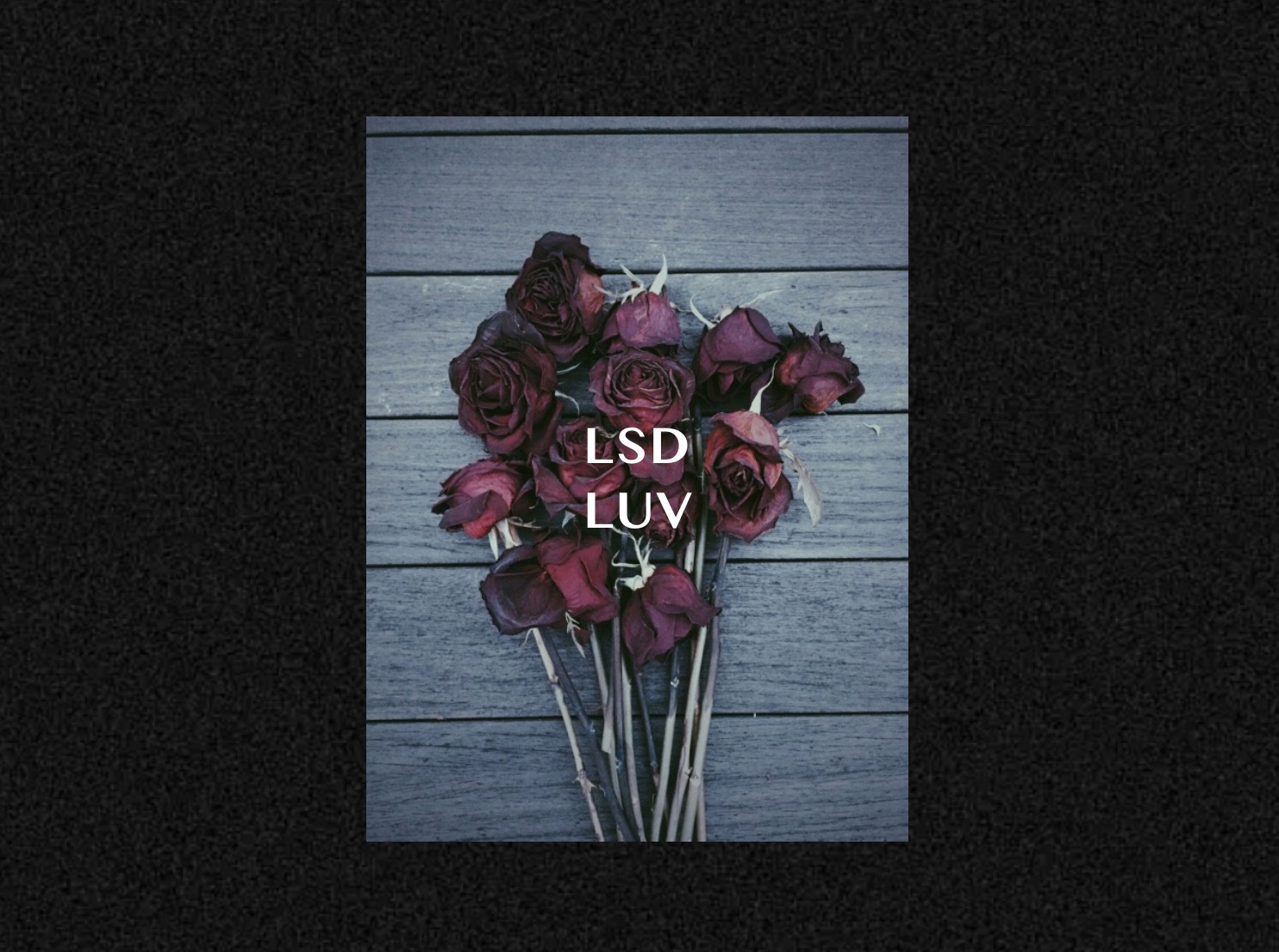 LSD LUV