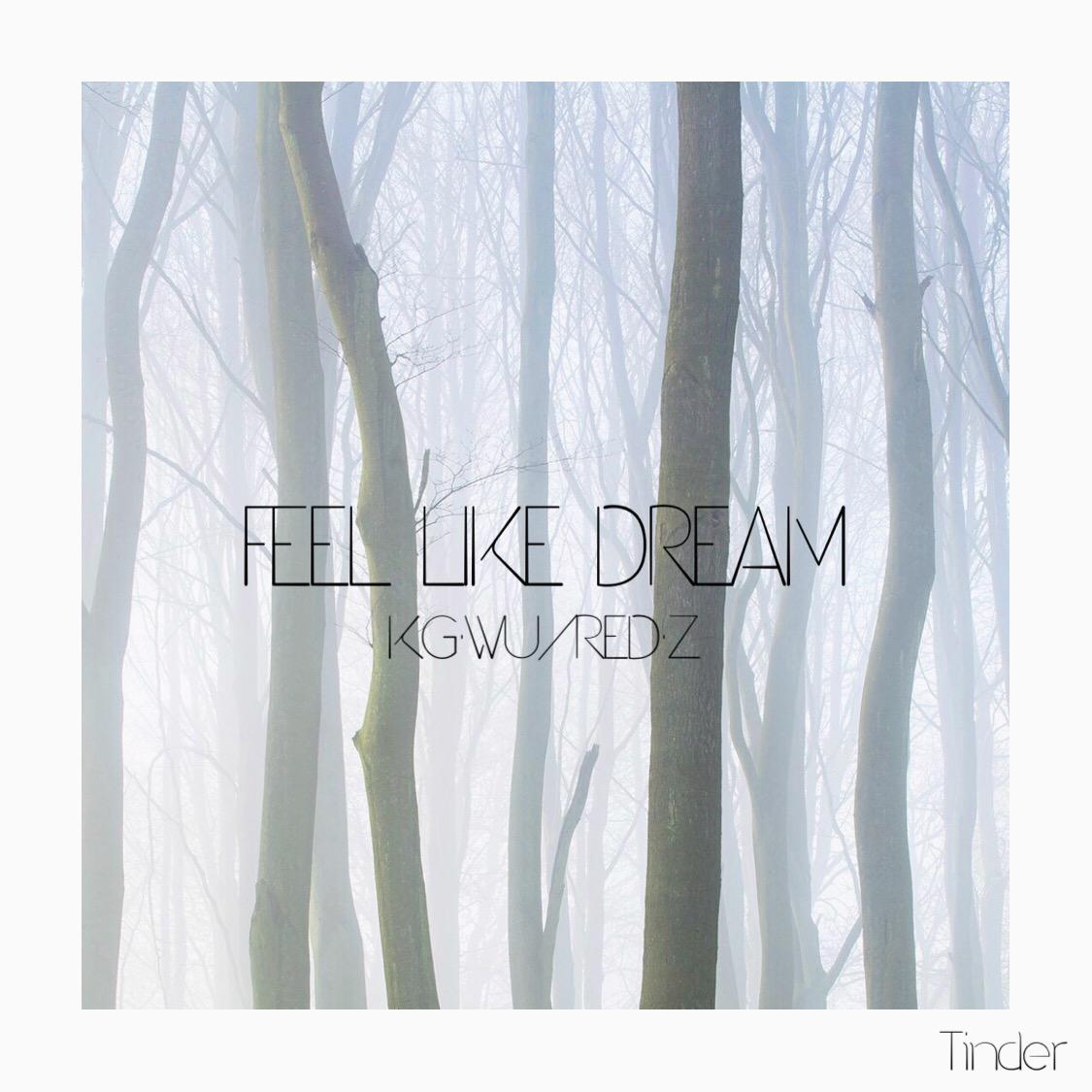 Feel Like Dream