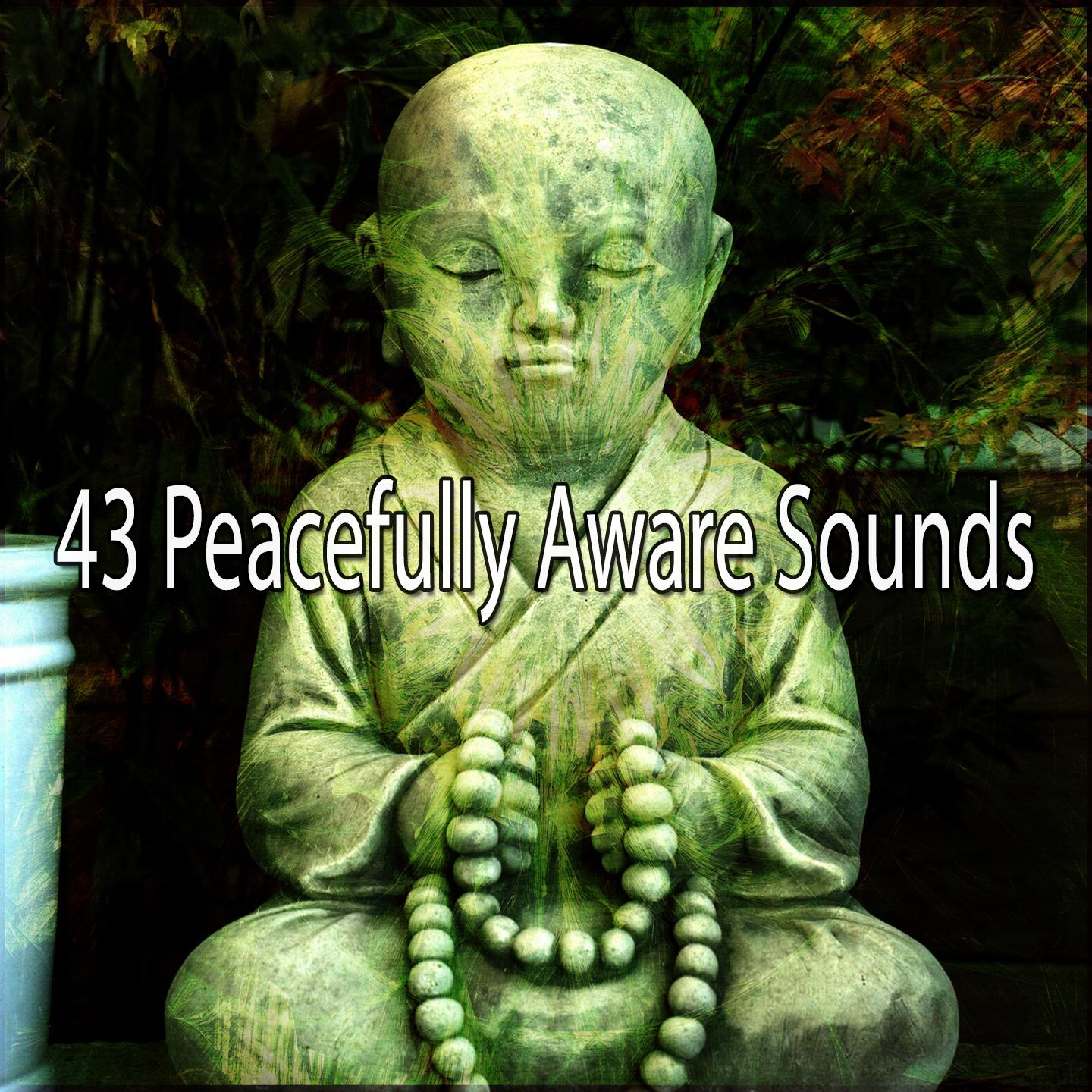 43 Peacefully Aware Sounds
