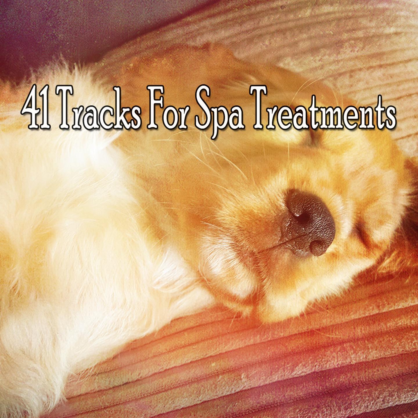 41 Tracks For Spa Treatments