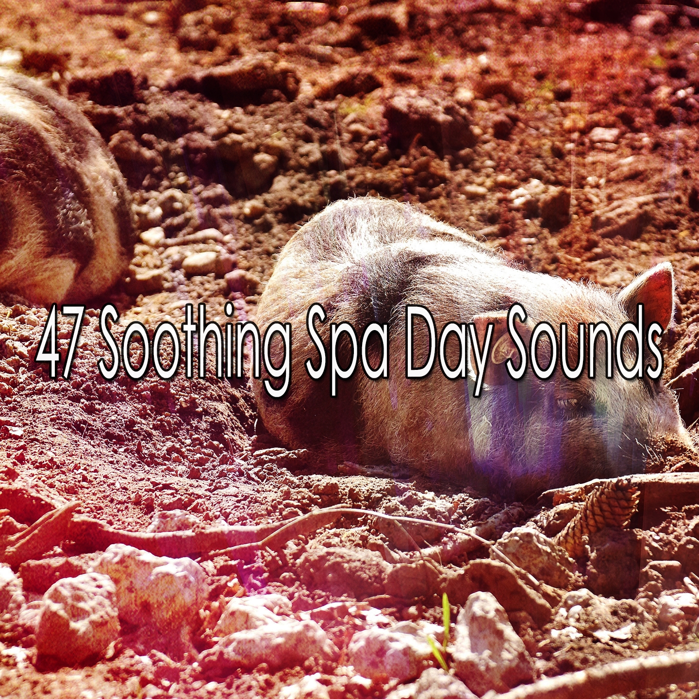 47 Soothing Spa Day Sounds