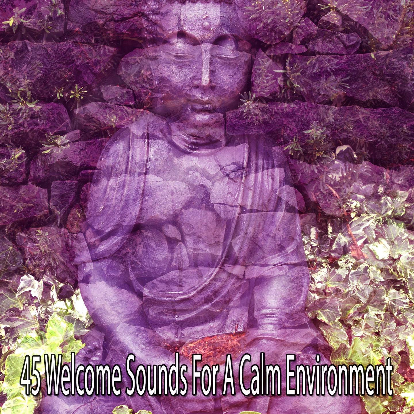 45 Welcome Sounds For A Calm Environment