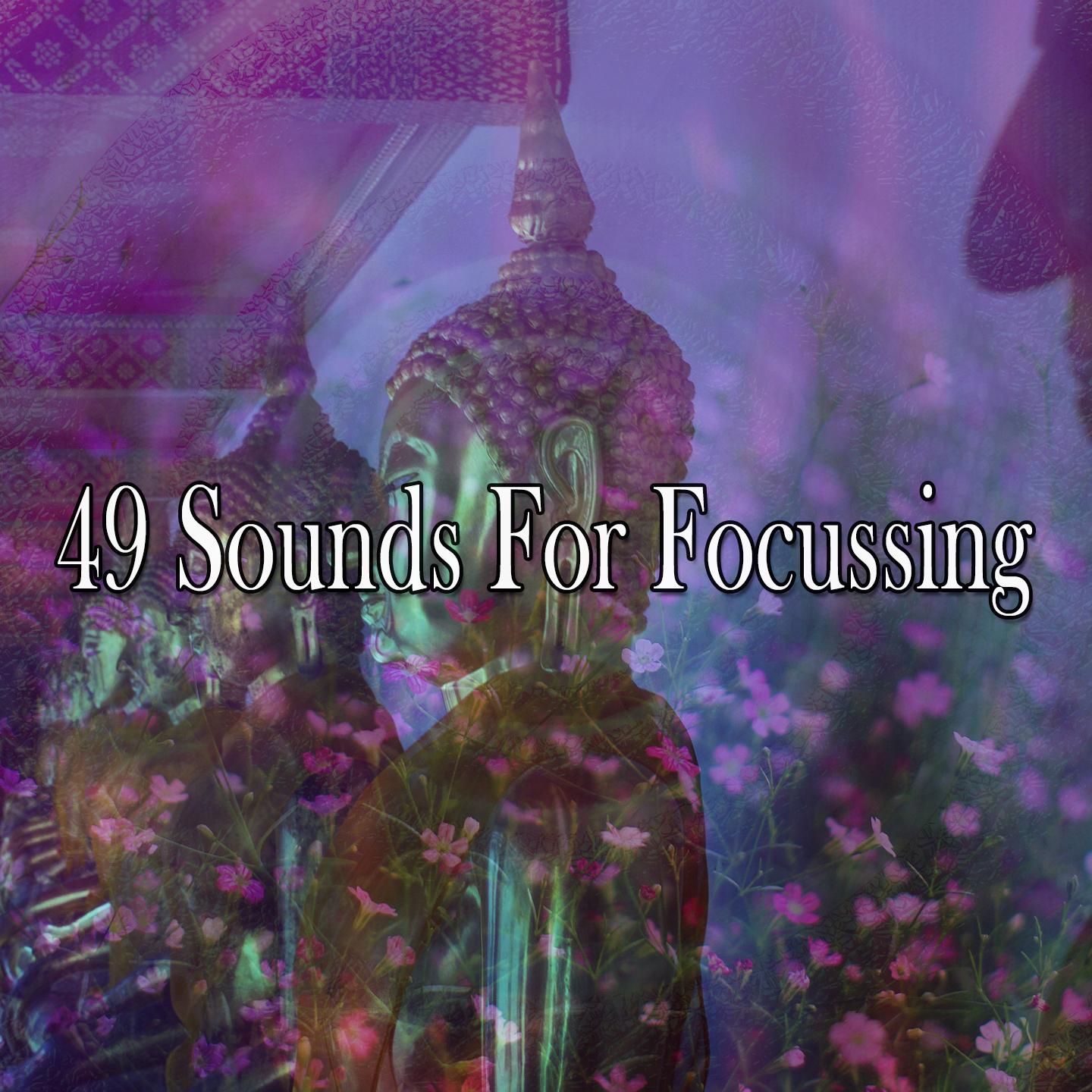 49 Sounds For Focussing