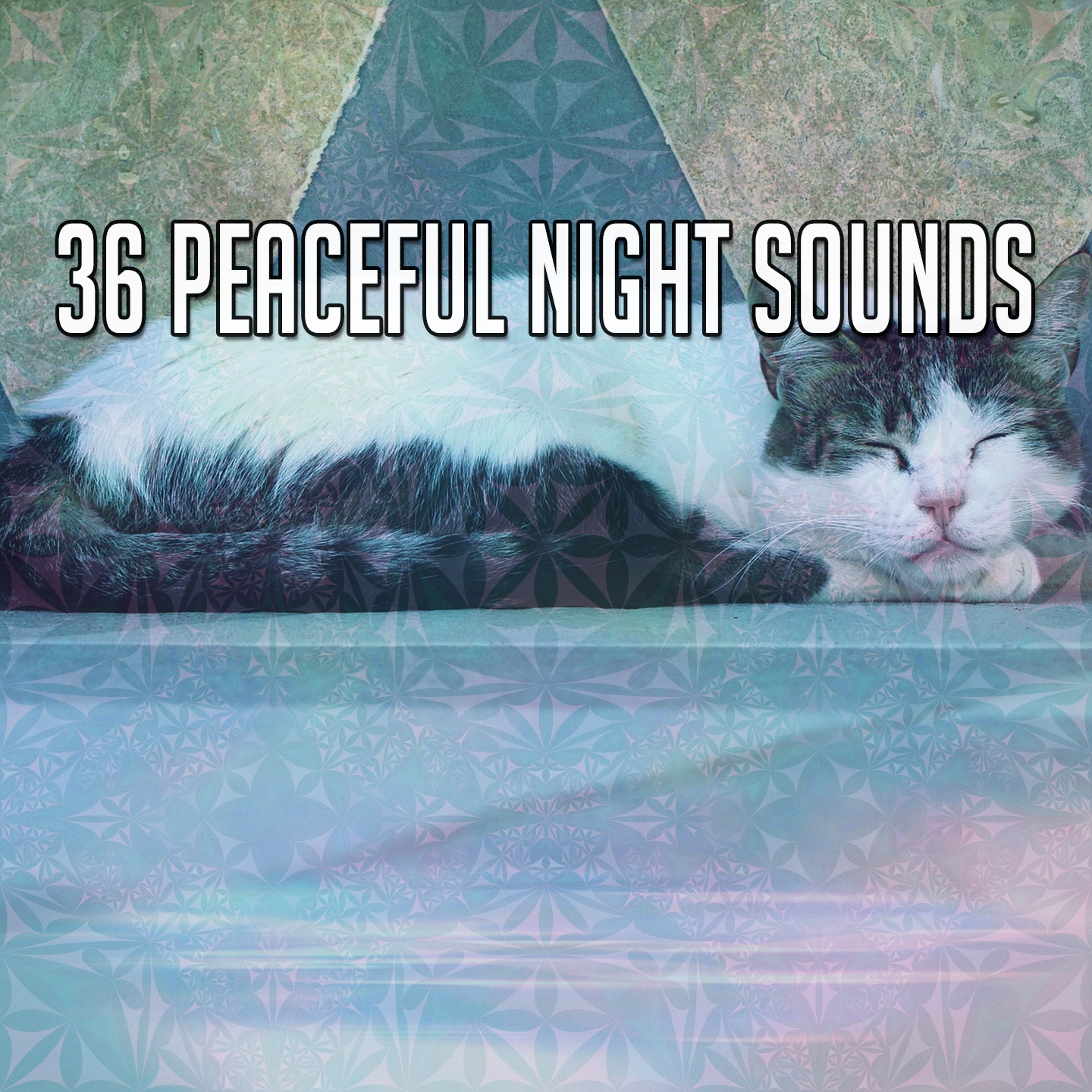 36 Peaceful Night Sounds