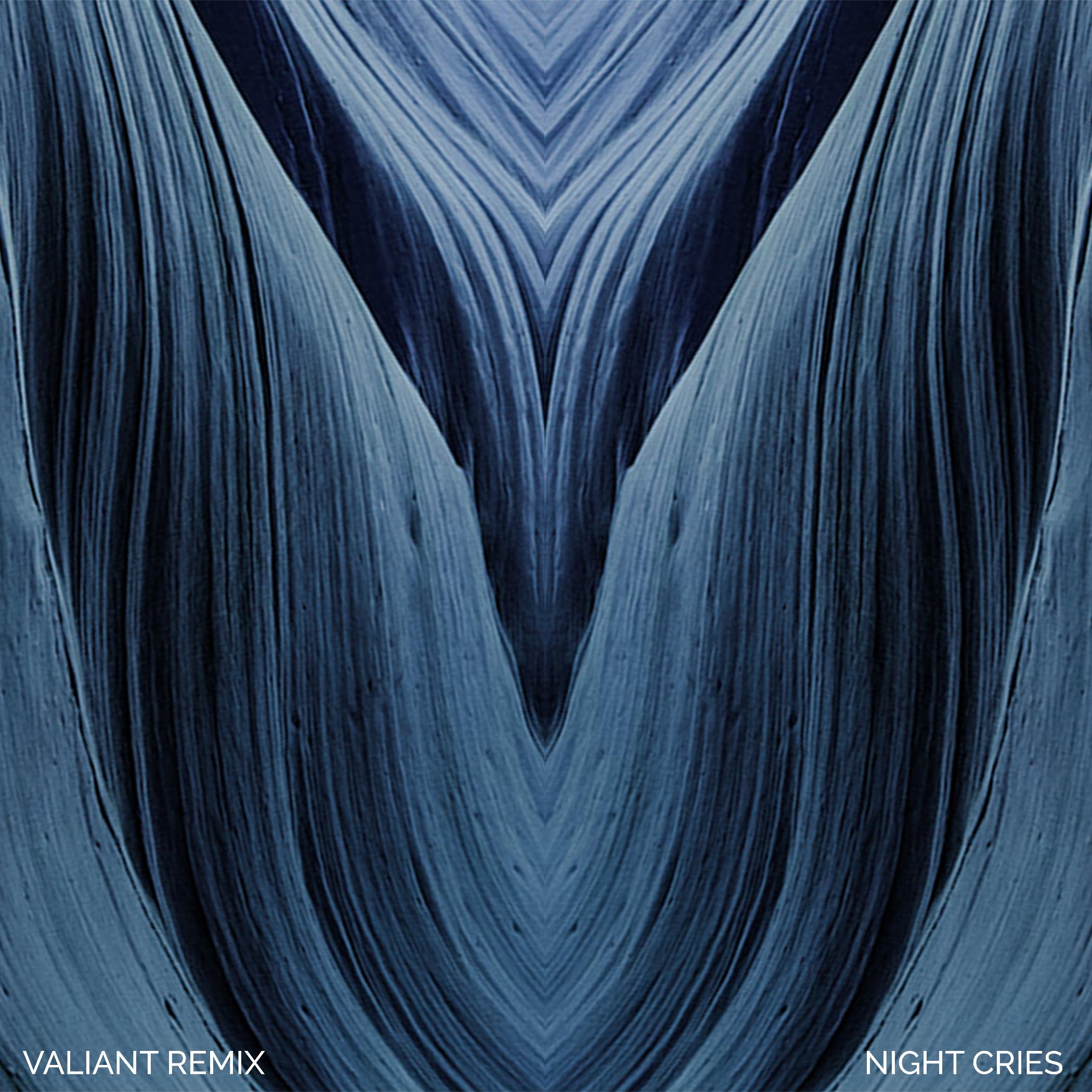 Night Cries (Valiant Remix)