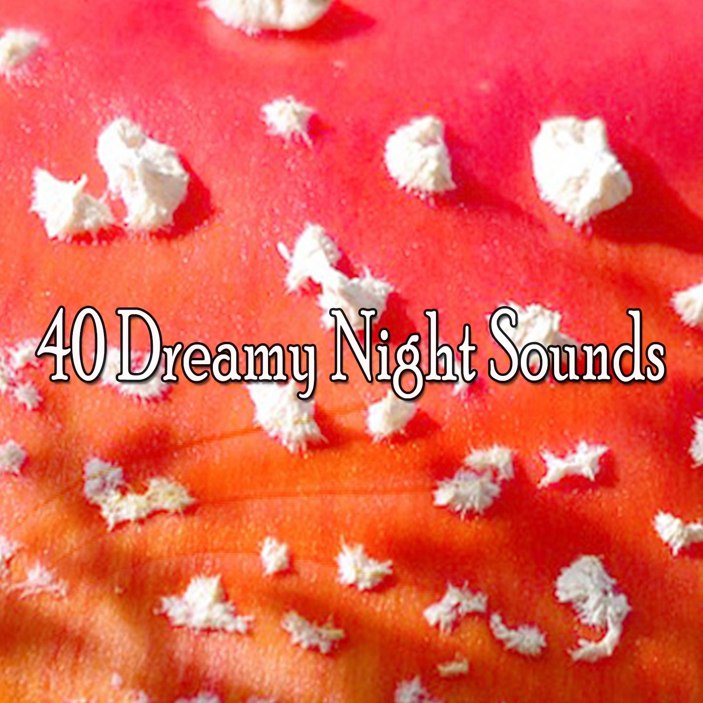 40 Dreamy Night Sounds