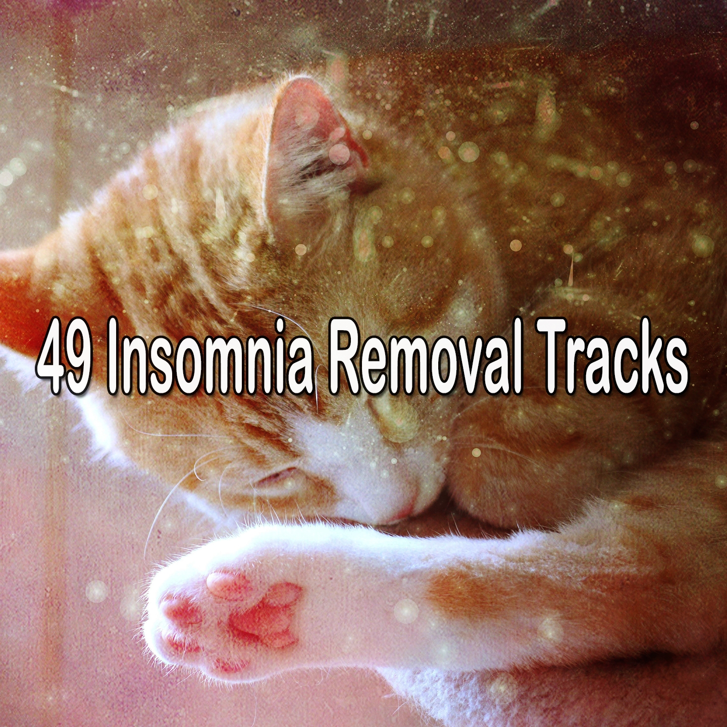 49 Insomnia Removal Tracks