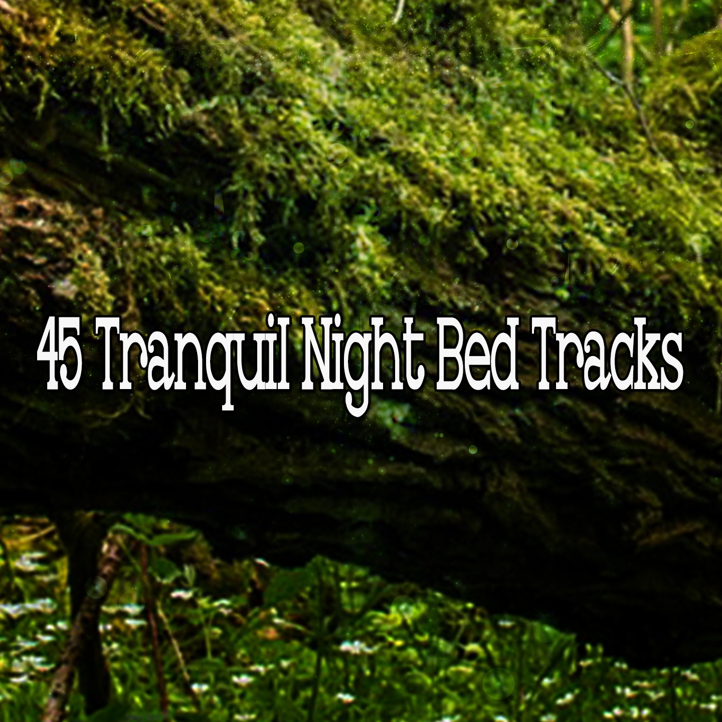 45 Tranquil Night Bed Tracks