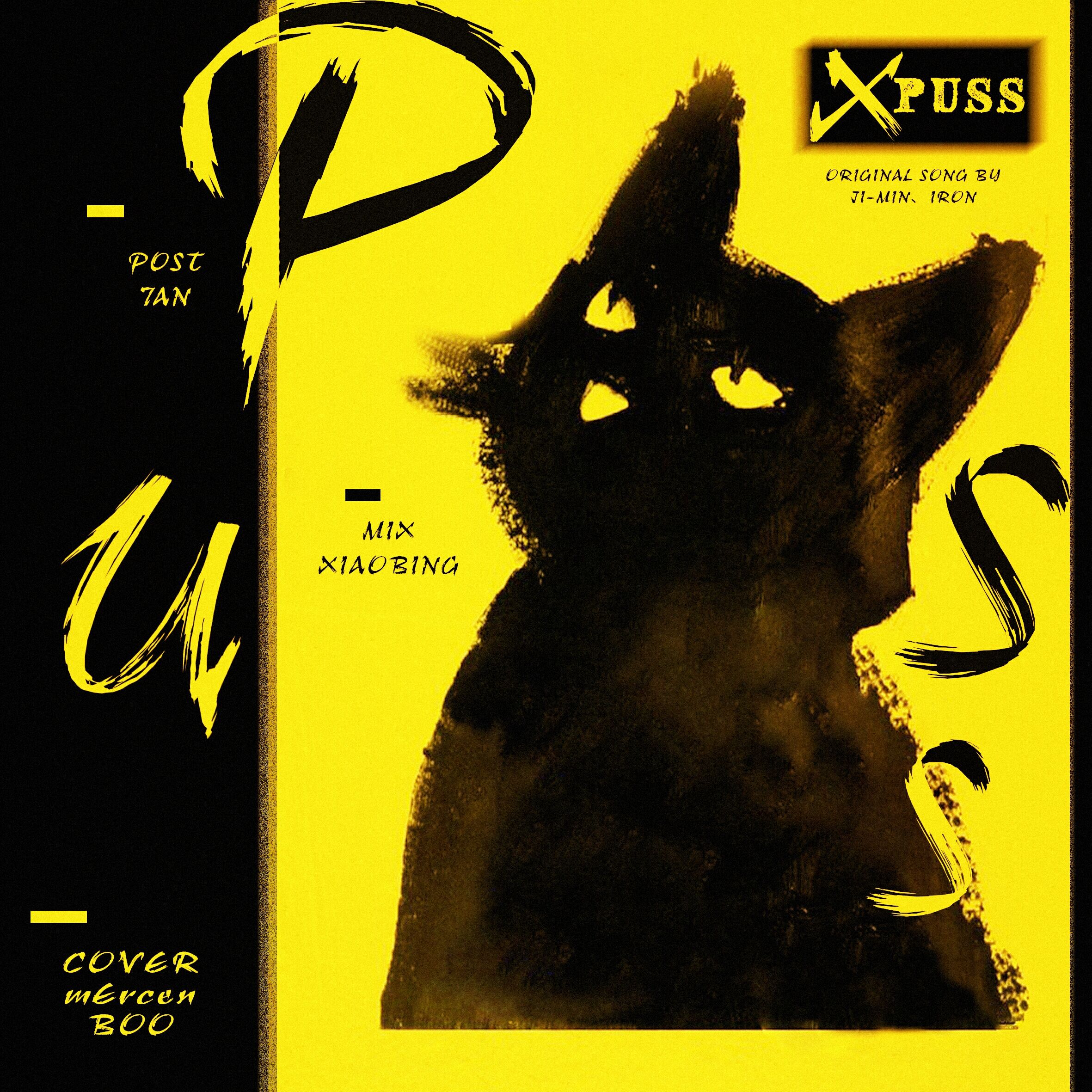 PUSS（Cover 申智珉 / Iron）