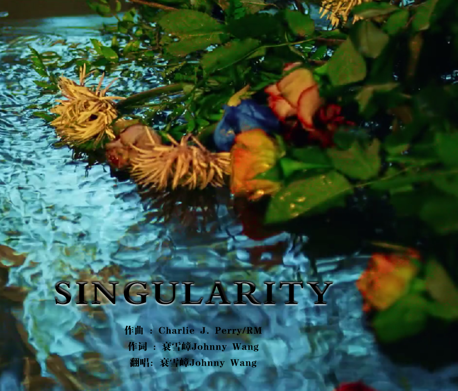 Singularity（Chinese Ver.）（Cover：0）