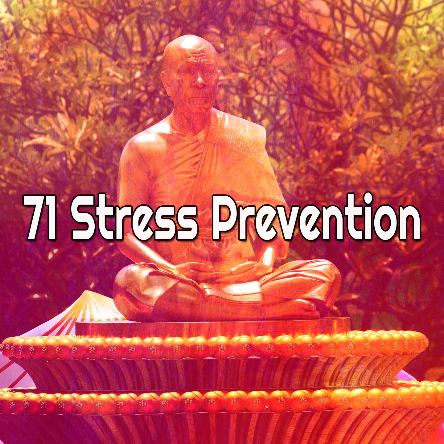 71 Stress Prevention
