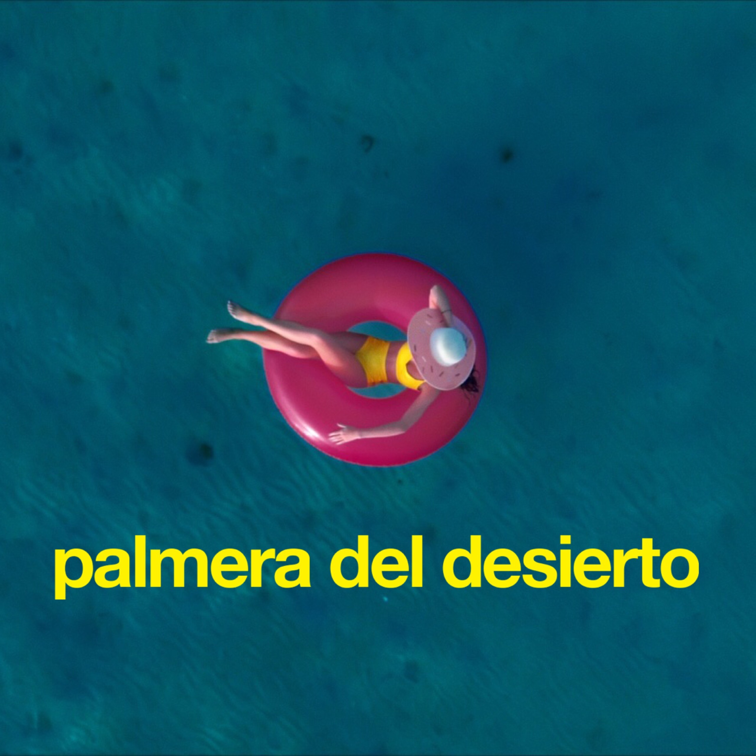 Palmera del Desierto