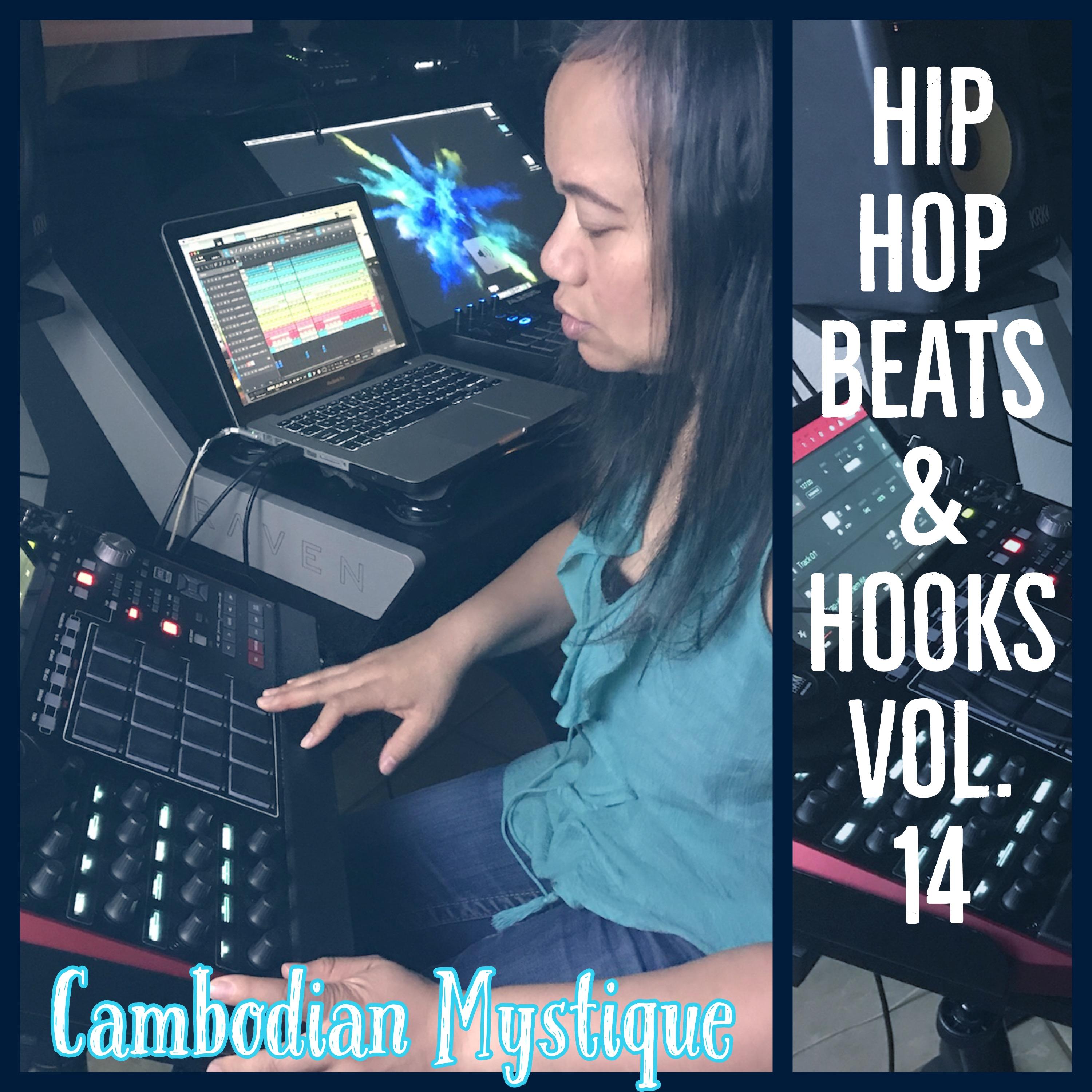 Hip Hop Beats & Hooks, Vol. 14