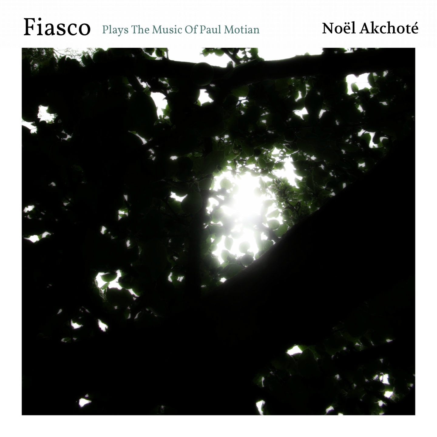 Fiasco (Plays the Music of Paul Motian)