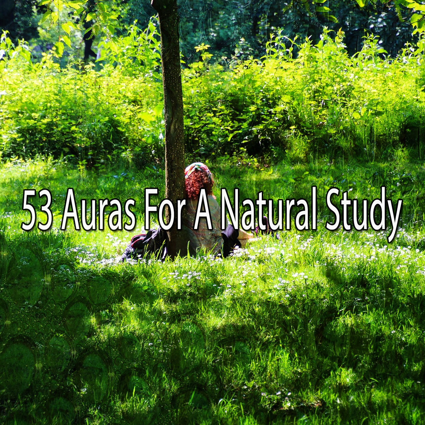 53 Auras For A Natural Study