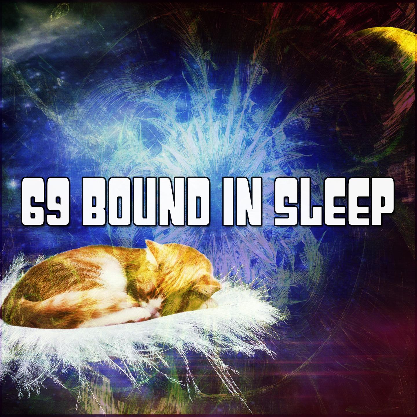 69 Bound In Sleep
