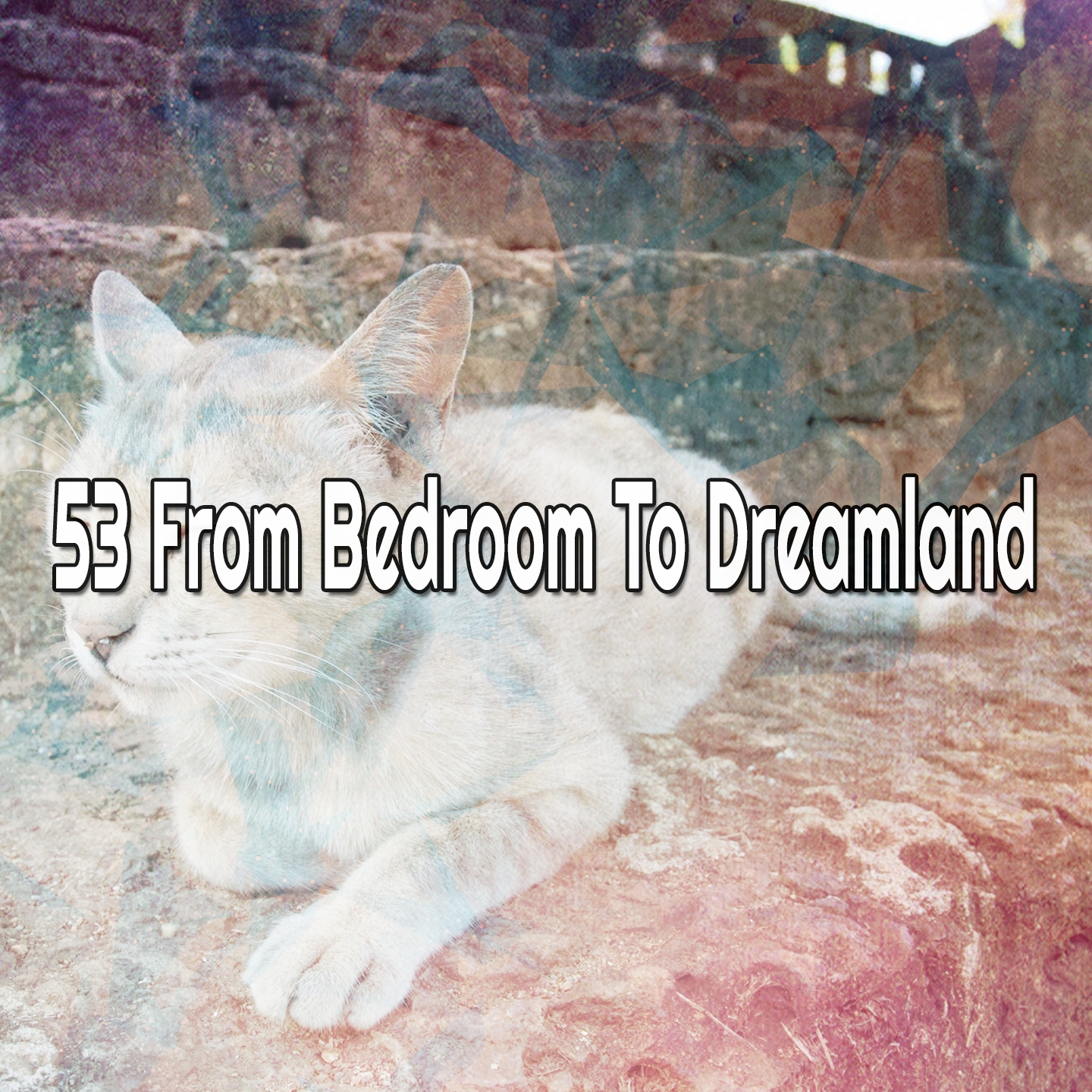 53 From Bedroom To Dreamland