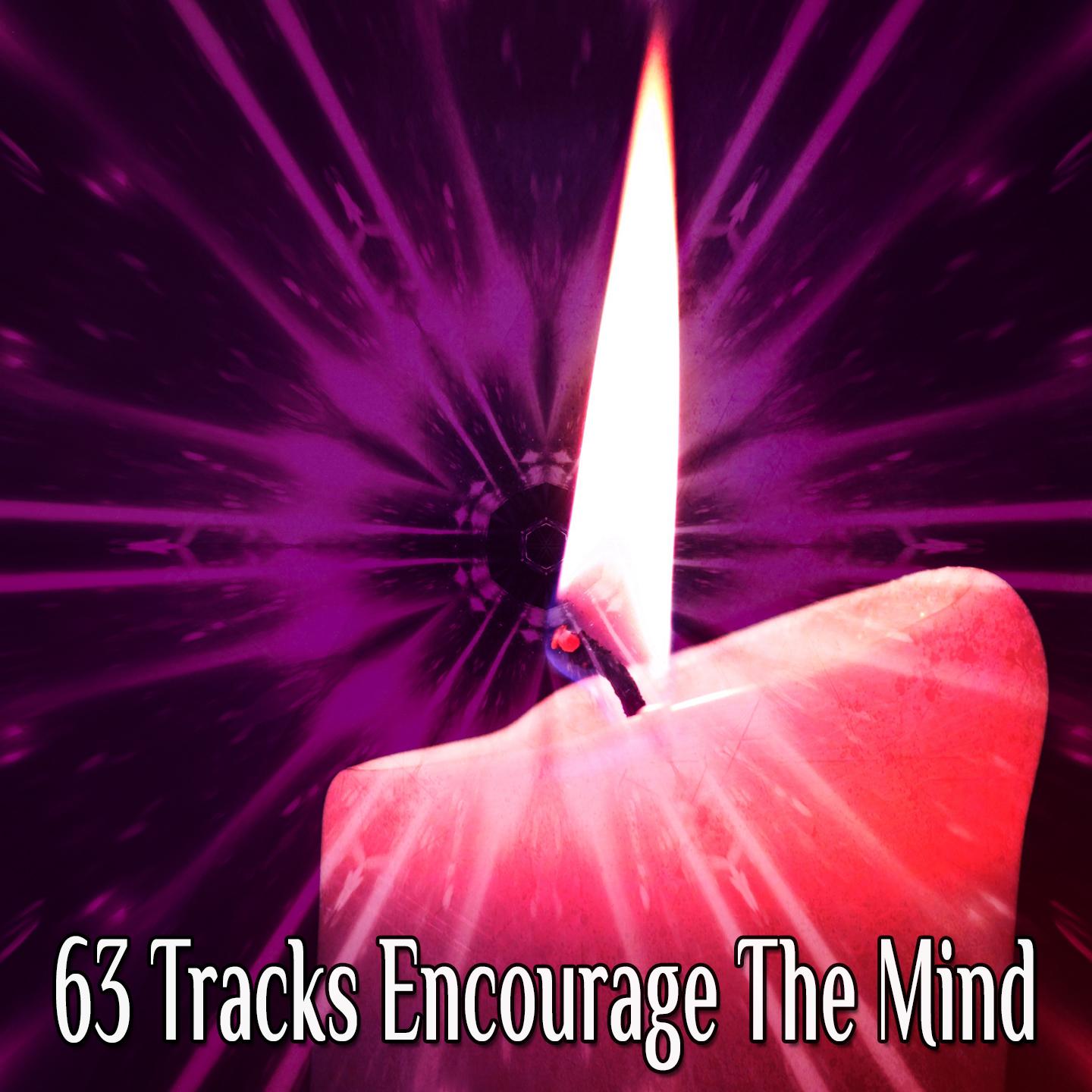 63 Tracks Encourage The Mind