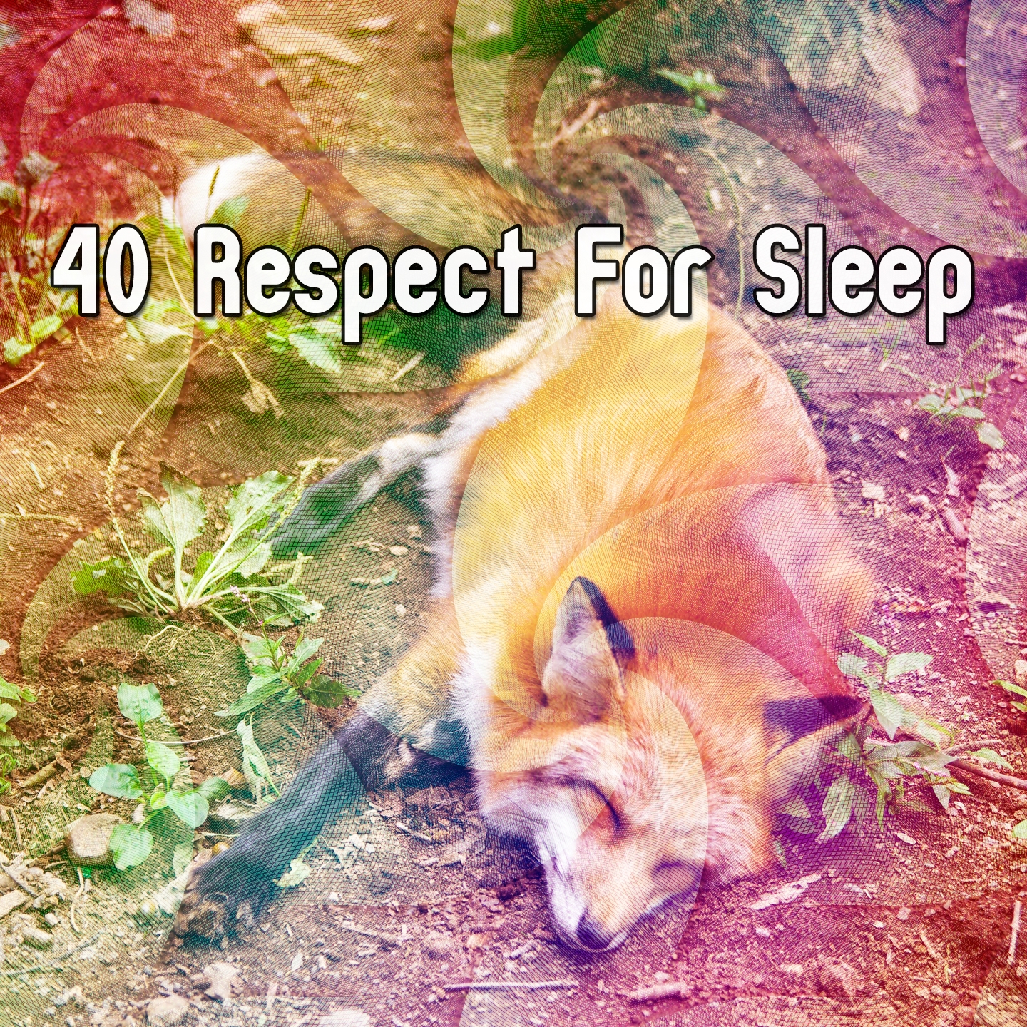 40 Respect For Sleep