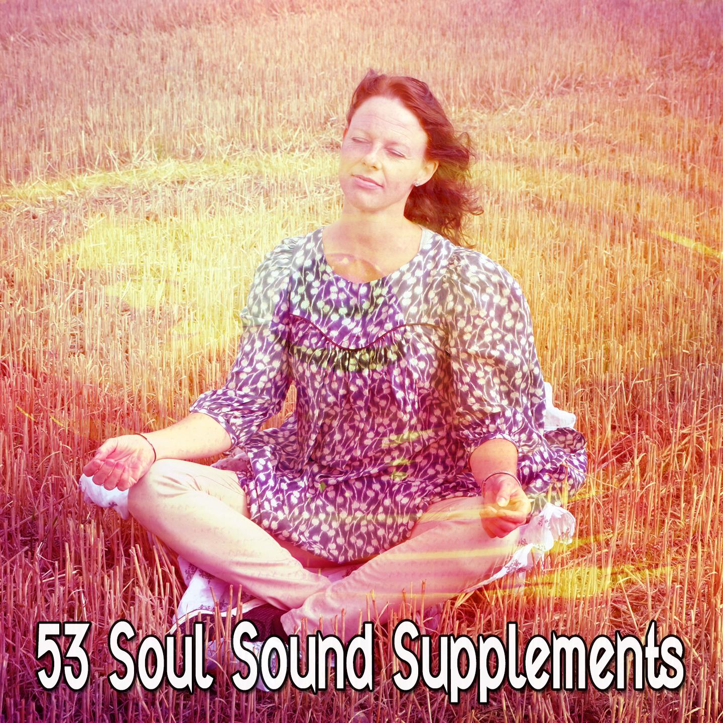 53 Soul Sound Supplements