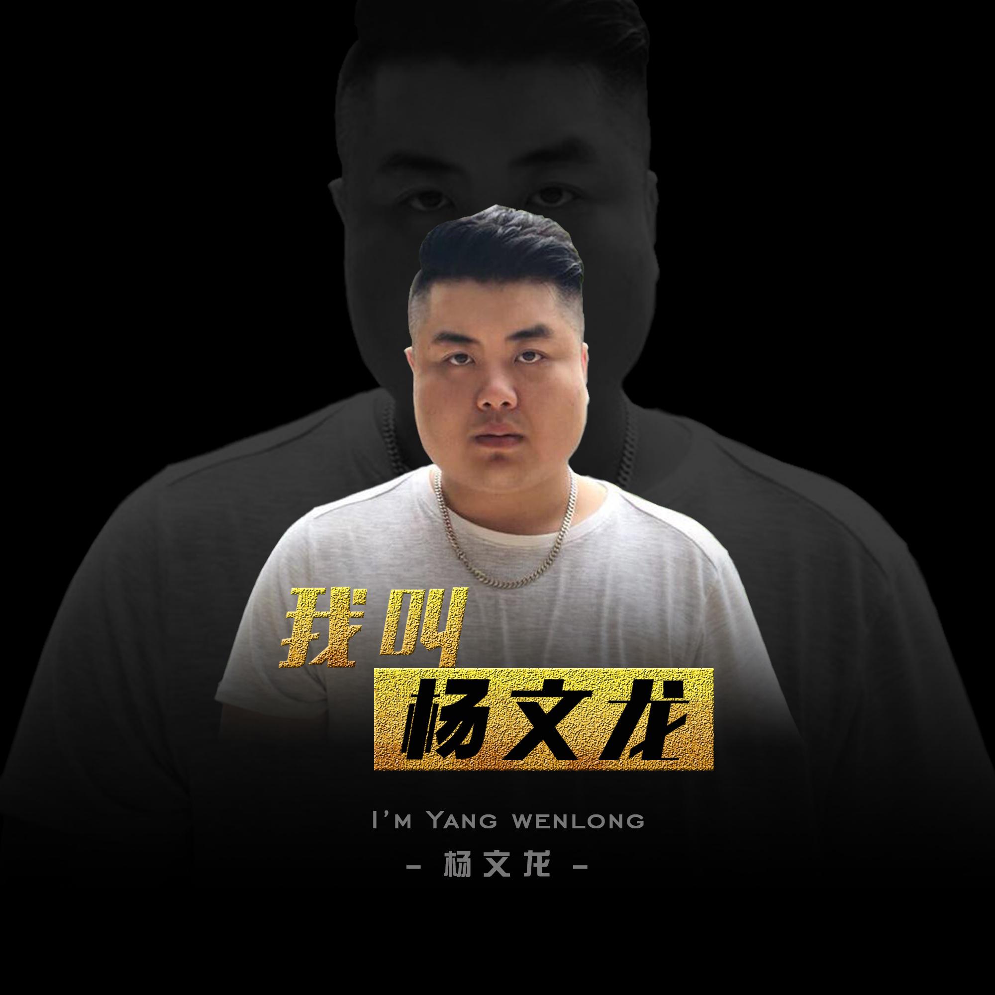 我叫杨文龙