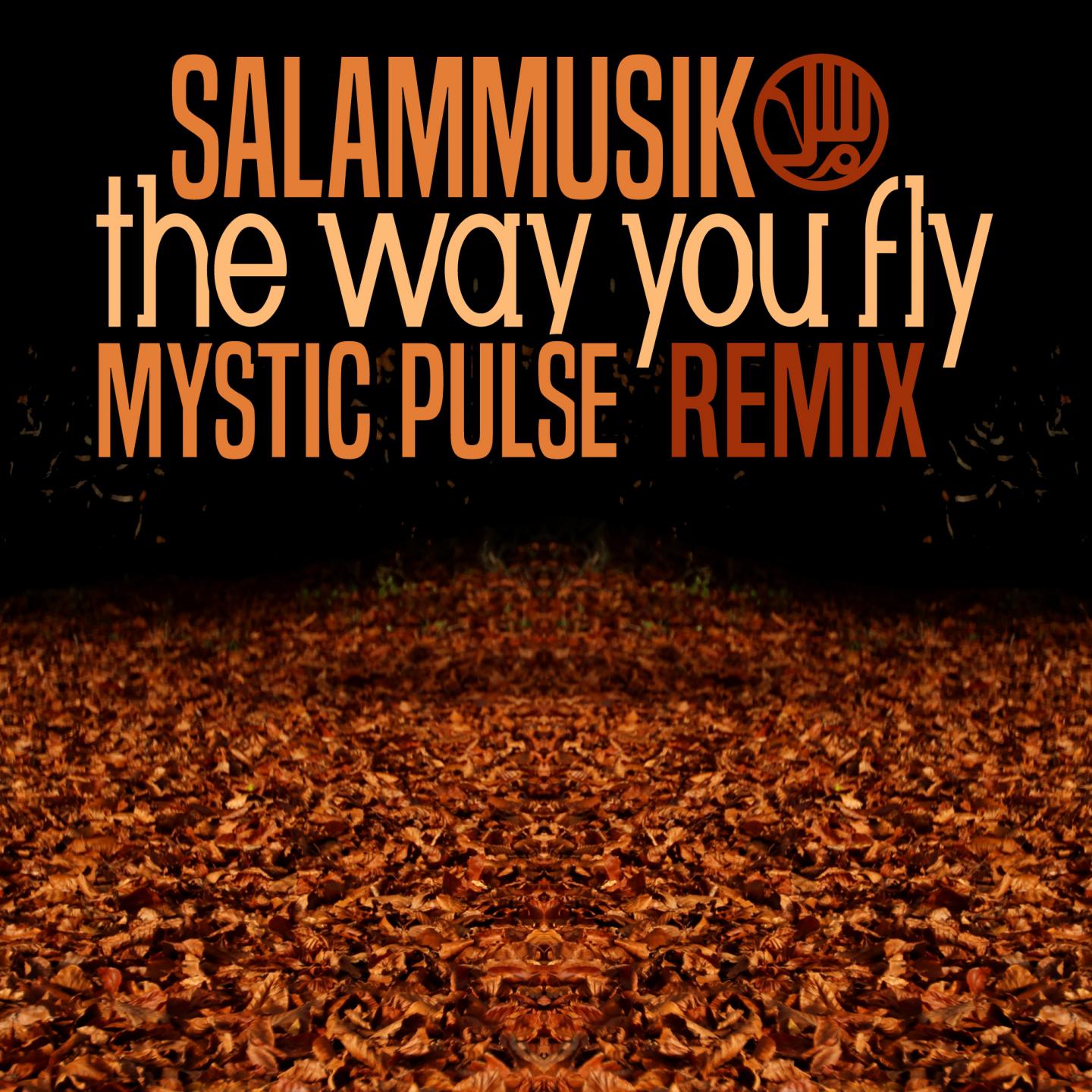 The Way You Fly (Jangan Nangis) (Mystic Pulse Remix)