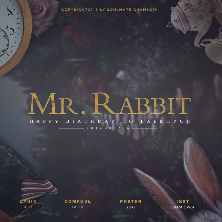 2016 伯贤庆生《莱贝特（MR.RABBIT）》