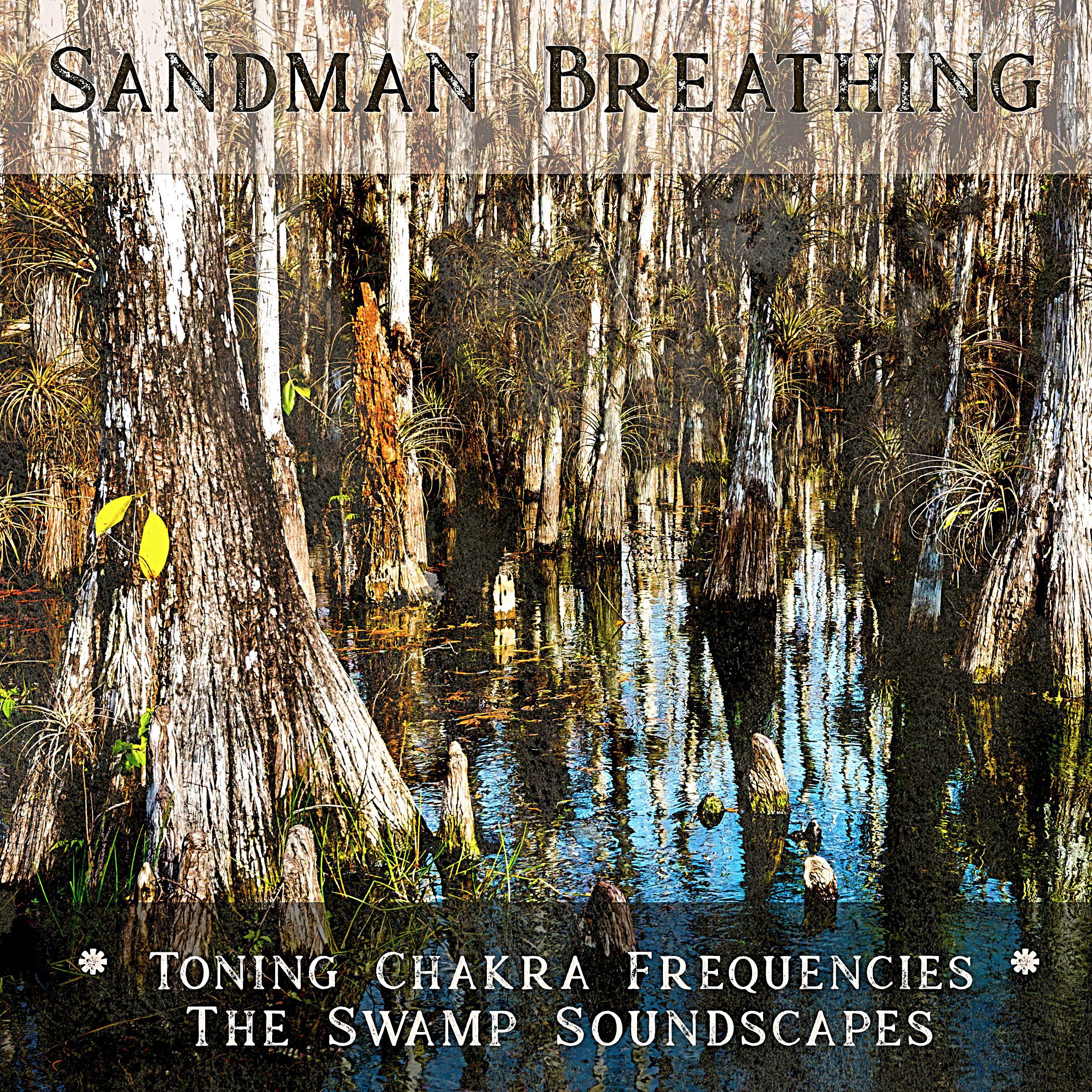 The Swamp Soundscapes - the Orange Swadhisthana Wave for Toning the Sacral Chakra at 480Hz - Returning Loop