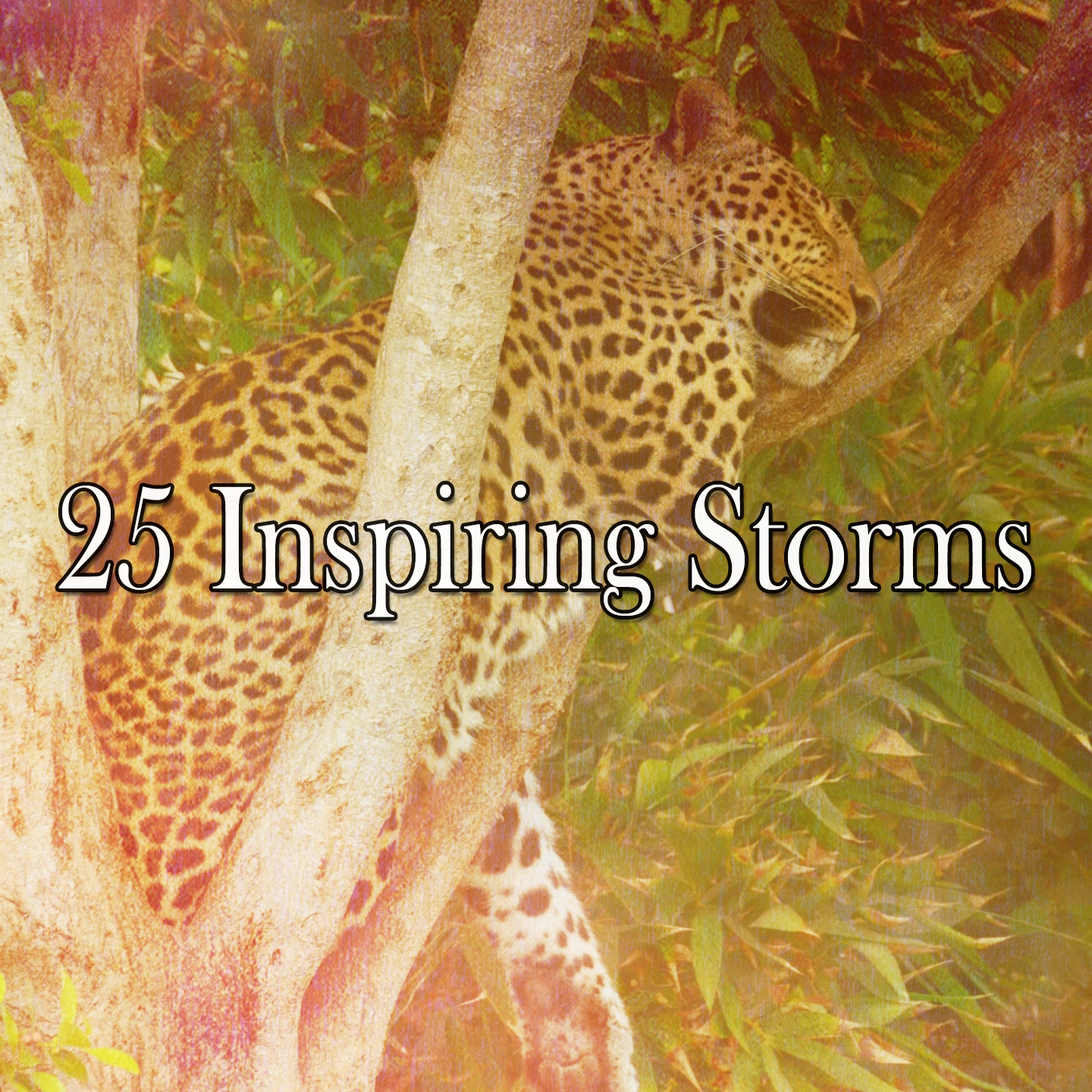 25 Inspiring Storms
