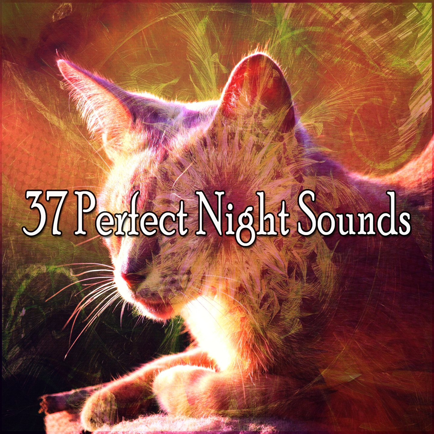 37 Perfect Night Sounds