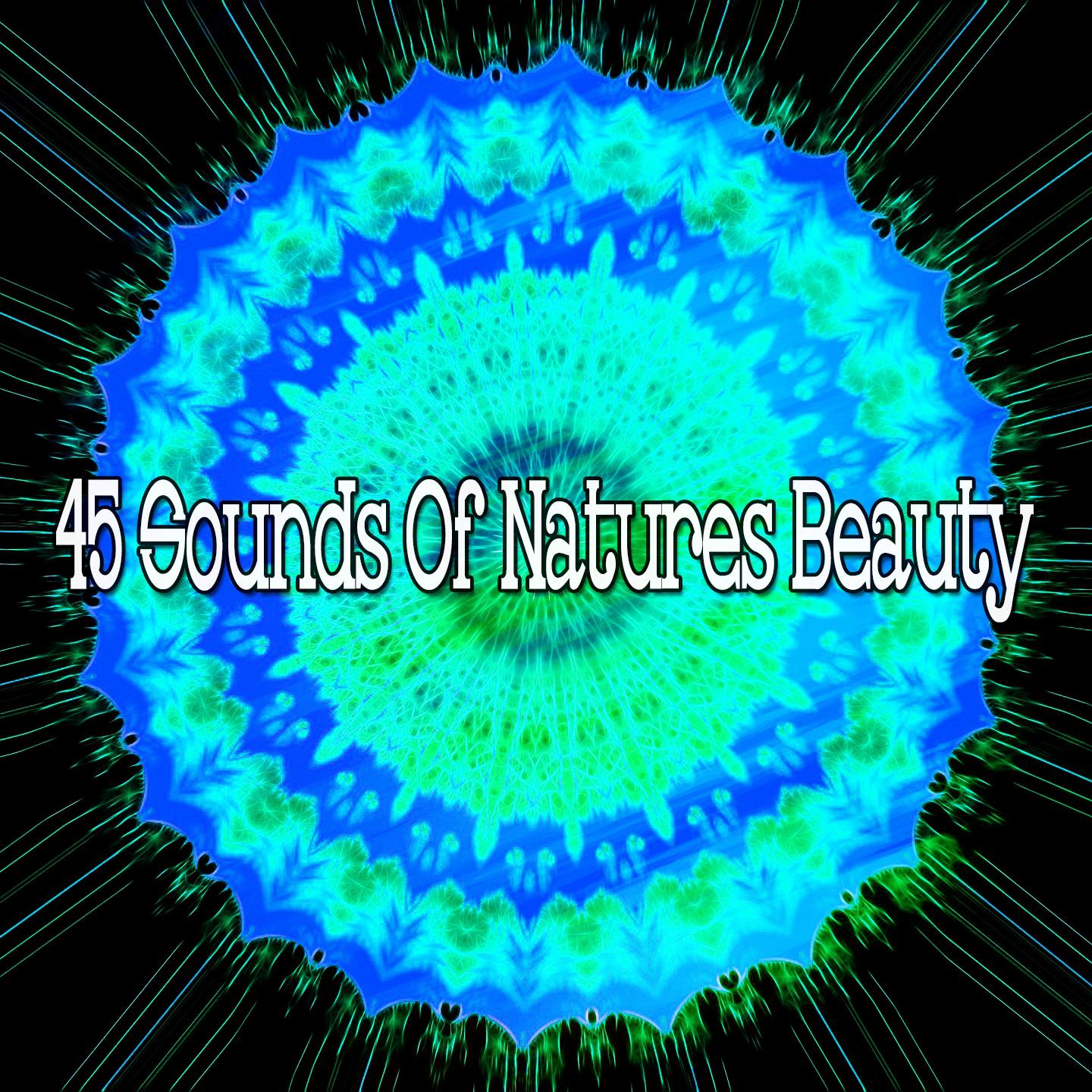 45 Sounds Of Natures Beauty