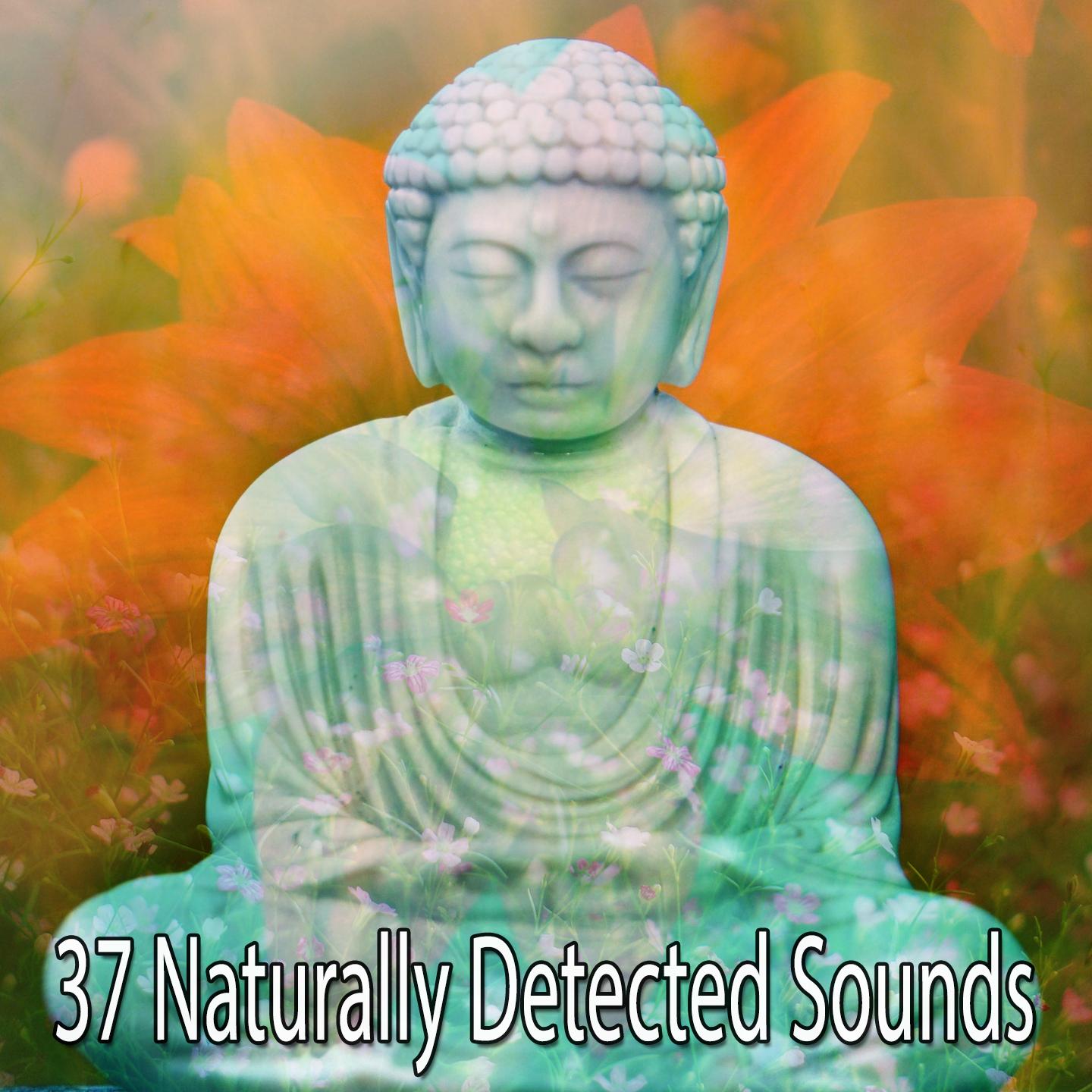 37 Naturally Detected Sounds
