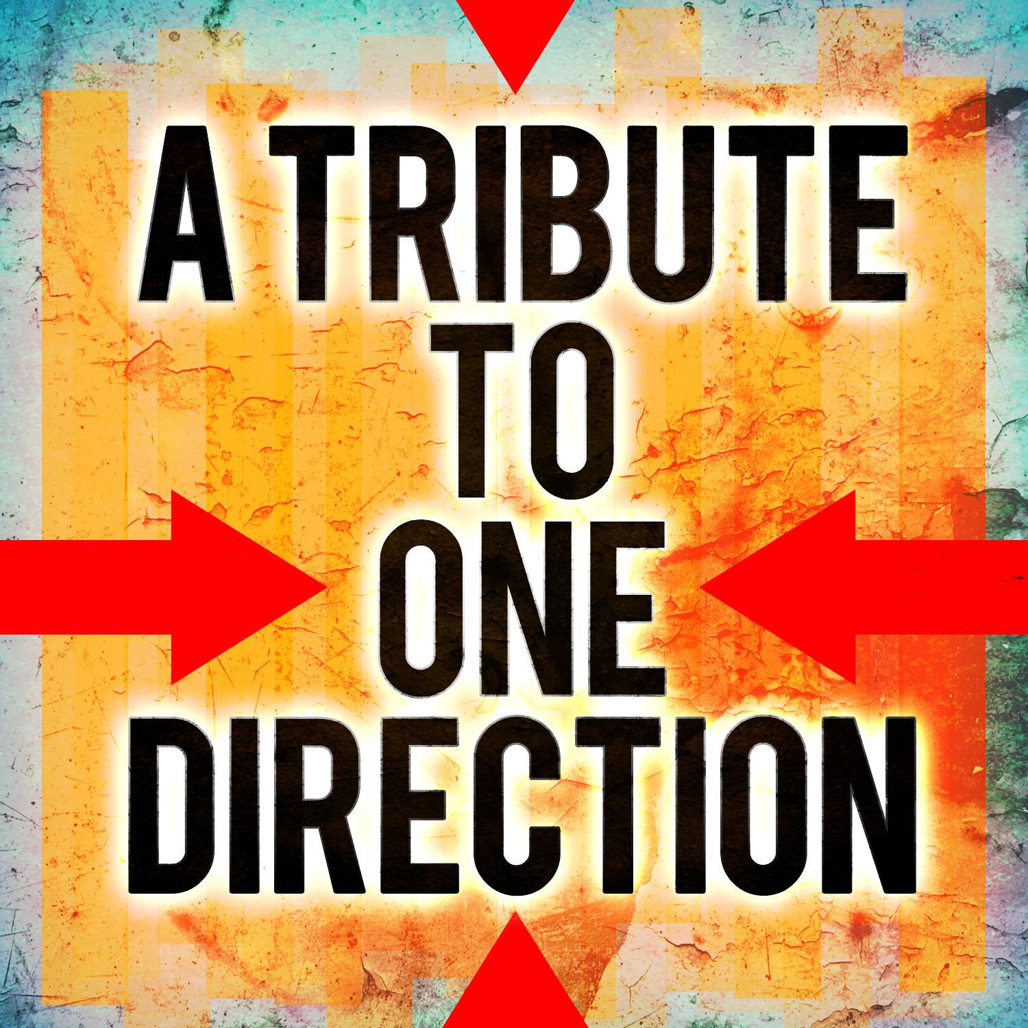 A Tribute to One Direction